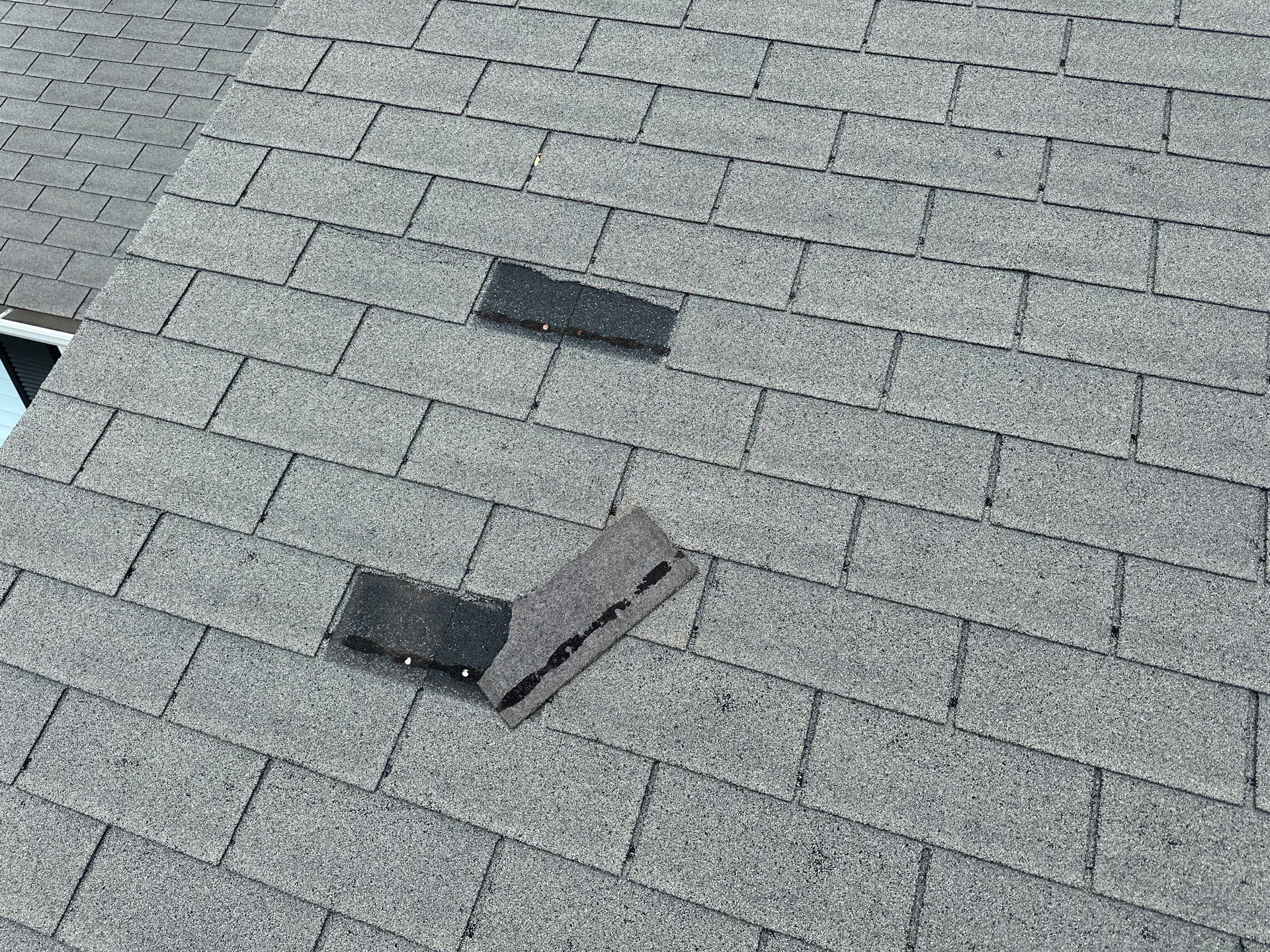 Solid Hail Damage - 3 Tab by Paragon Roofing