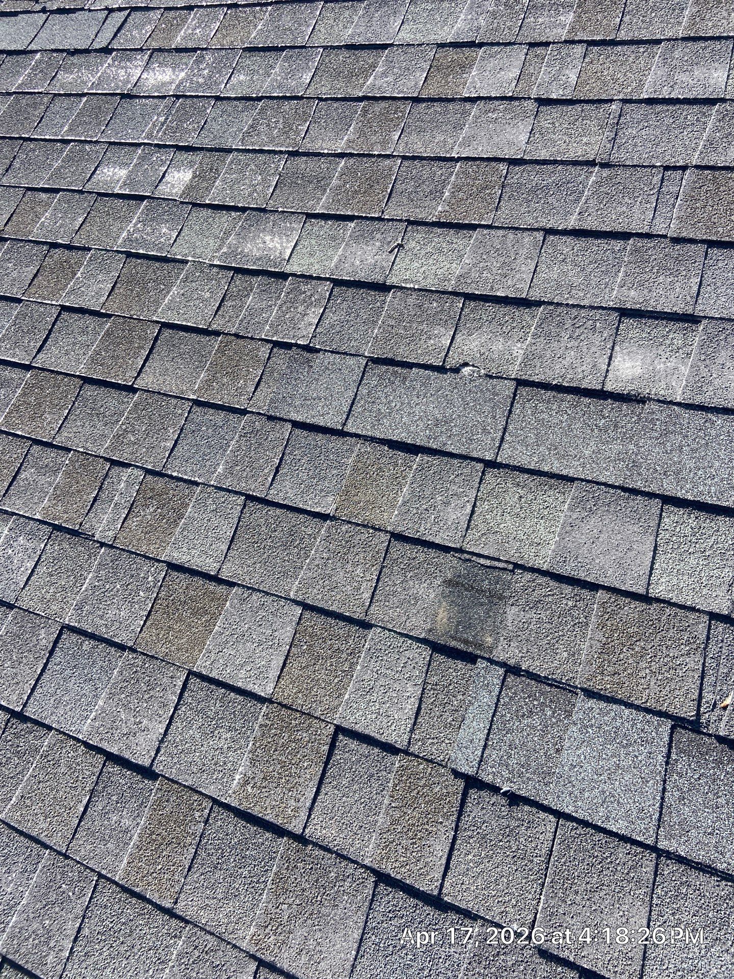 Roof Rejuvenation using Roof Maxx Treatment by Roof Maxx of Folsom