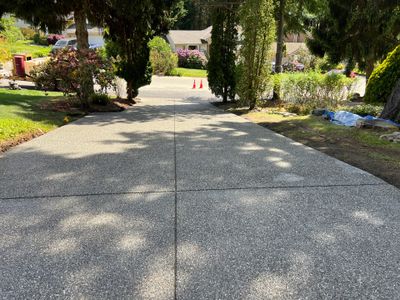Debbie | Concrete Driveway