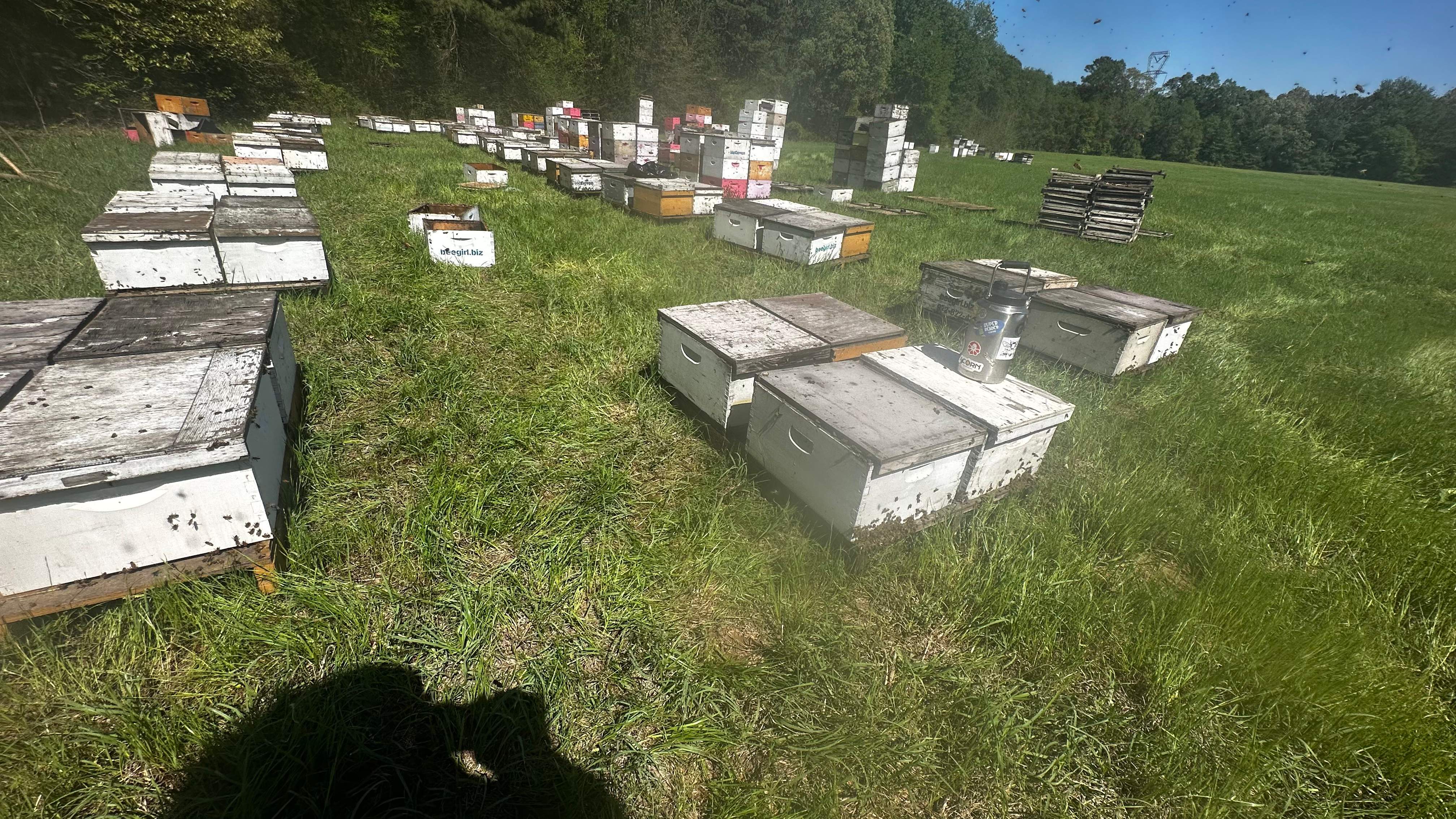 Traylor's Hay Meadow Apiary by Rockwall Honey Bee Company