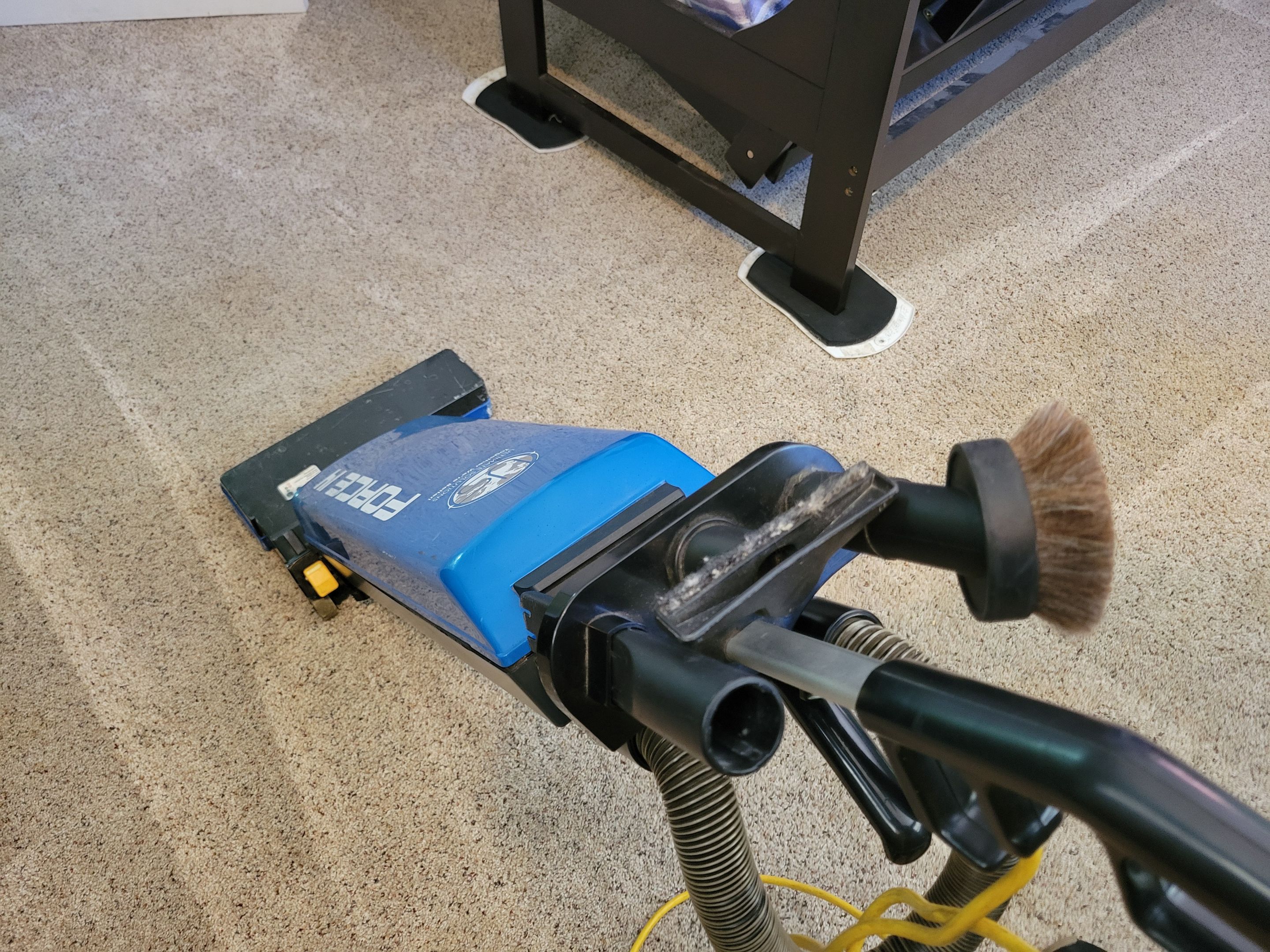 Carpet Cleaning with Pet Treatment by Ardent Carpet Restore LLC