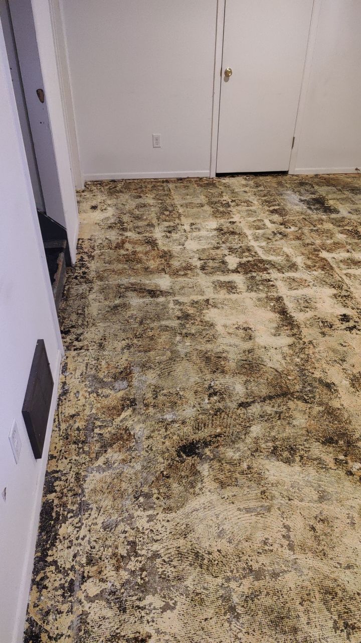 Water Damage by Accountable Home Services