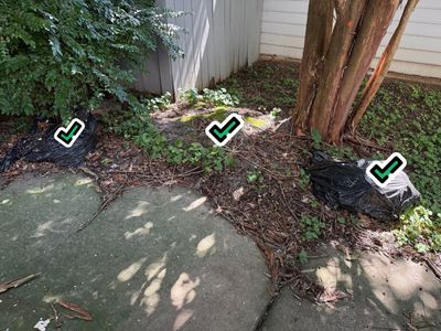 Project in Indian Trail