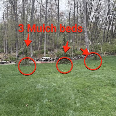 Driveway and Mulch