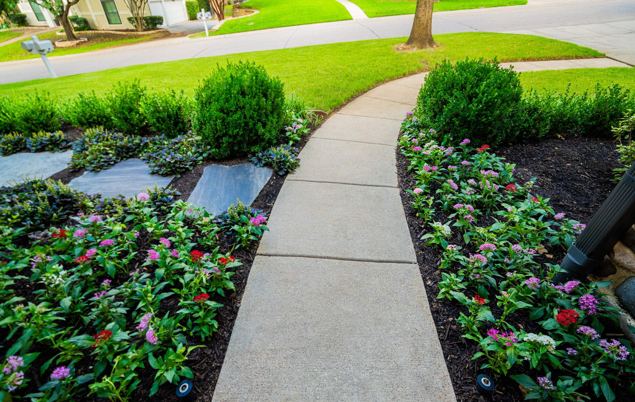 Southern Charm: Revitalizing a Cottage Garden by Complete Exterior Solutions