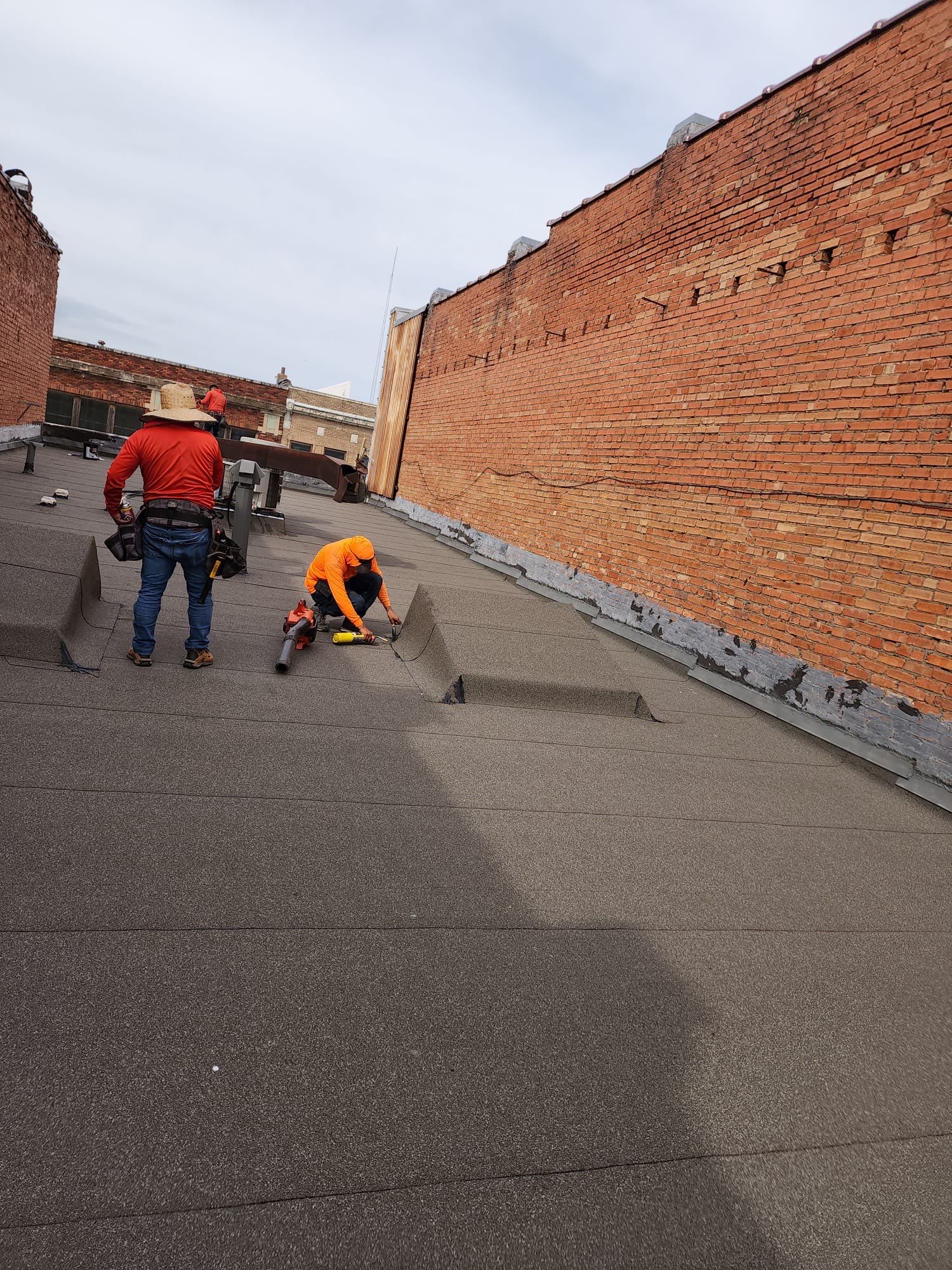 Project in Paris  by Zeus Exteriors