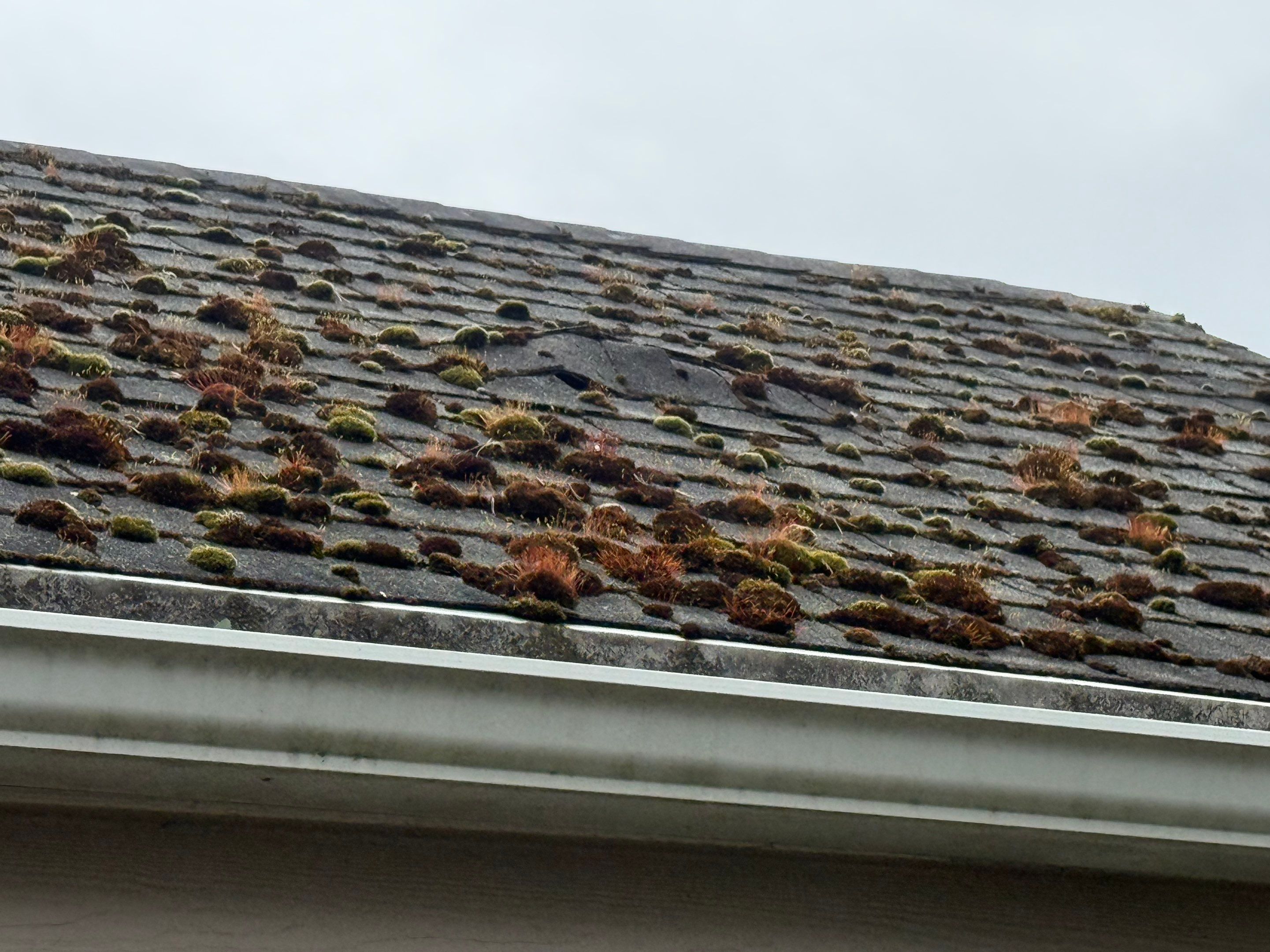 Residential ReRoof on Alder St by BEST Roofing & Waterproofing