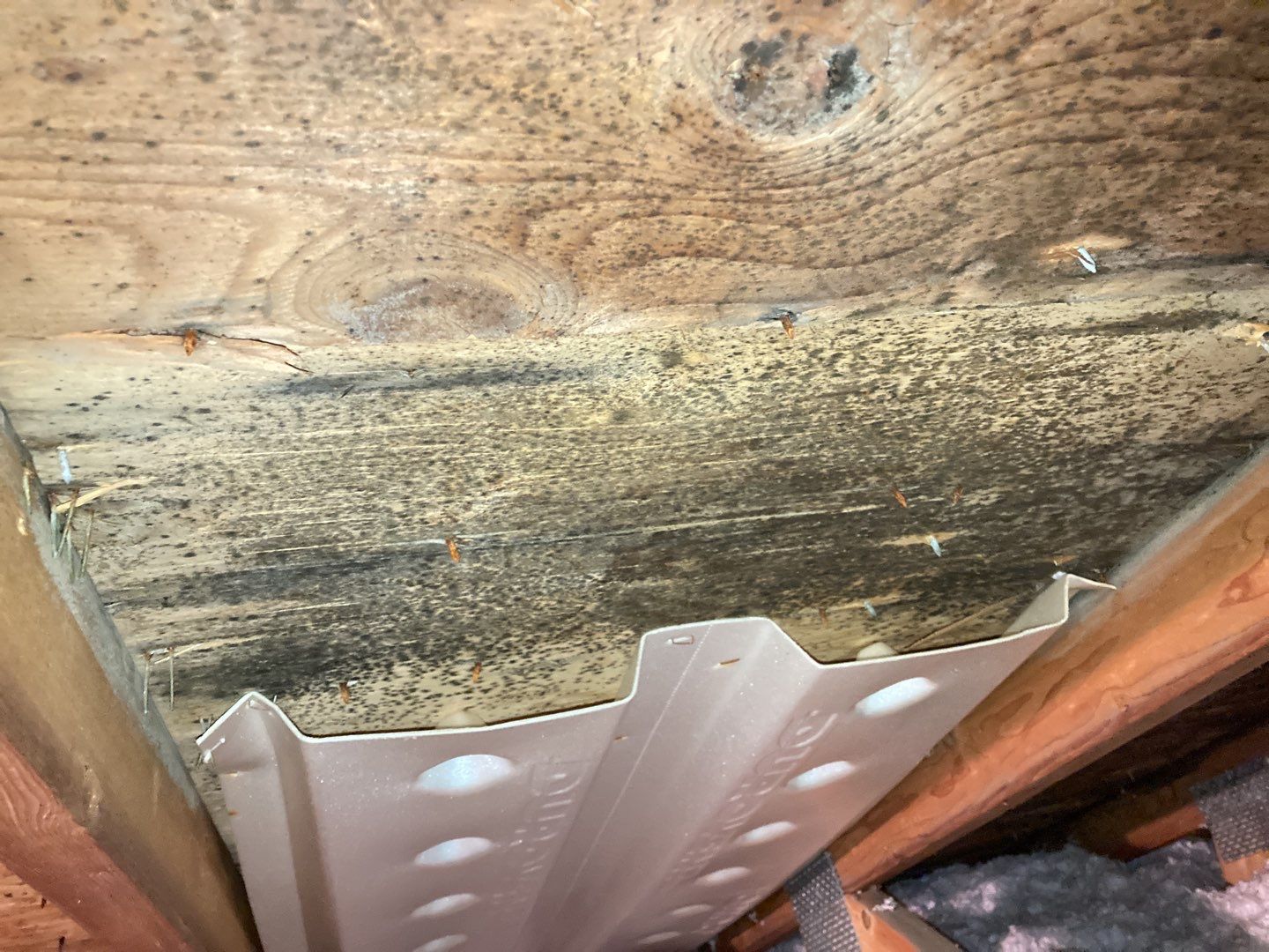 Mold Remediation in Attic by Accountable Home Services