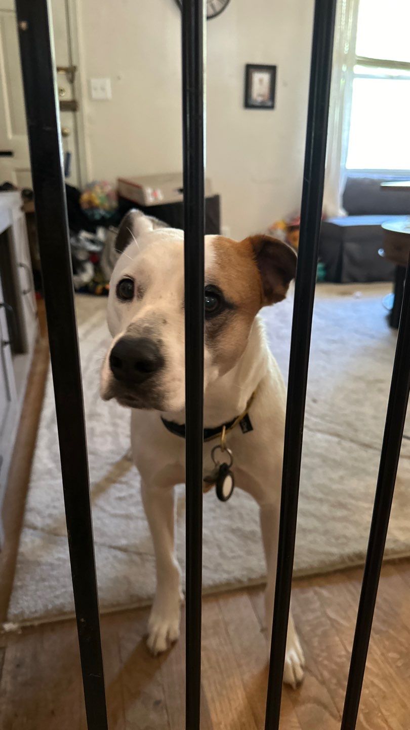 Tub to Shower Replacement in Springfield, MA by Yankee Home Improvement