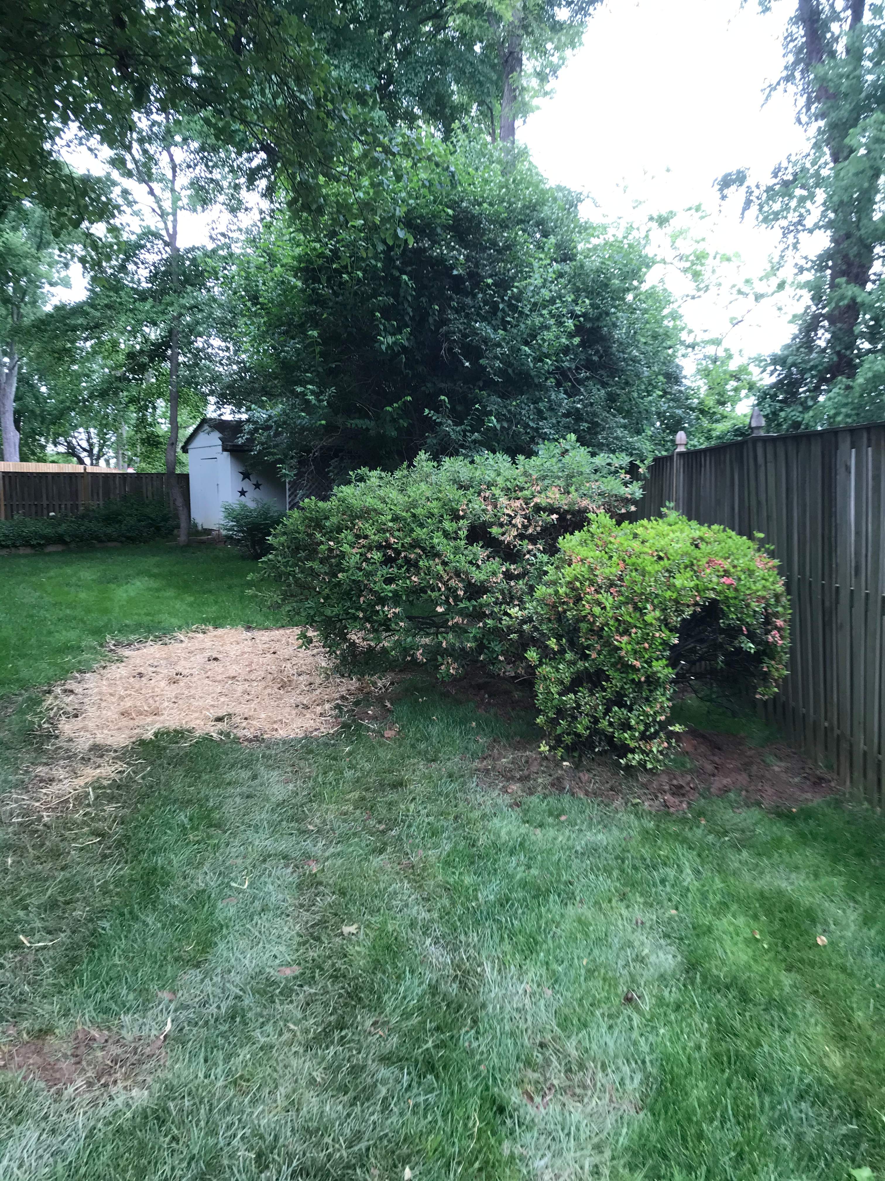 laundry and Cabana bath addition, Vienna, VA by Fairfax Contractors, LLC