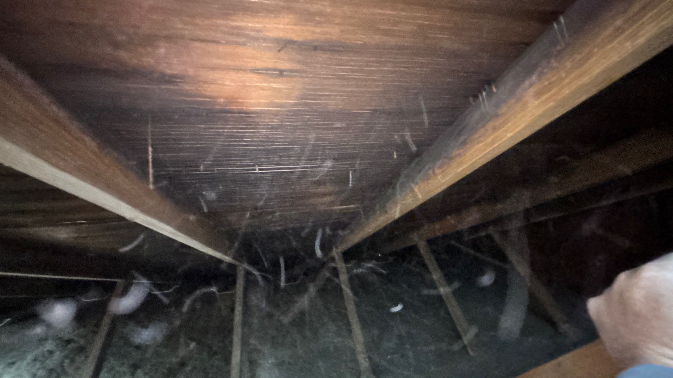 Roof Replacement using Owens Corning Storm Cloud by 180 Contractors