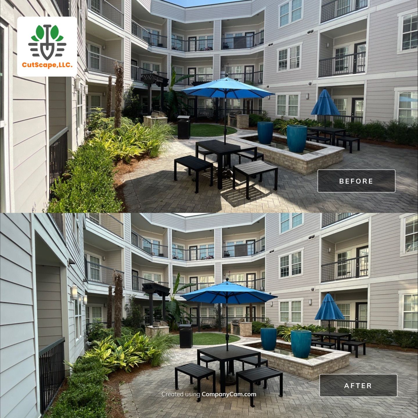 HEDGE TRIM / BED CLEAN using HEDGE TRIM LABOR by CutScape, LLC.