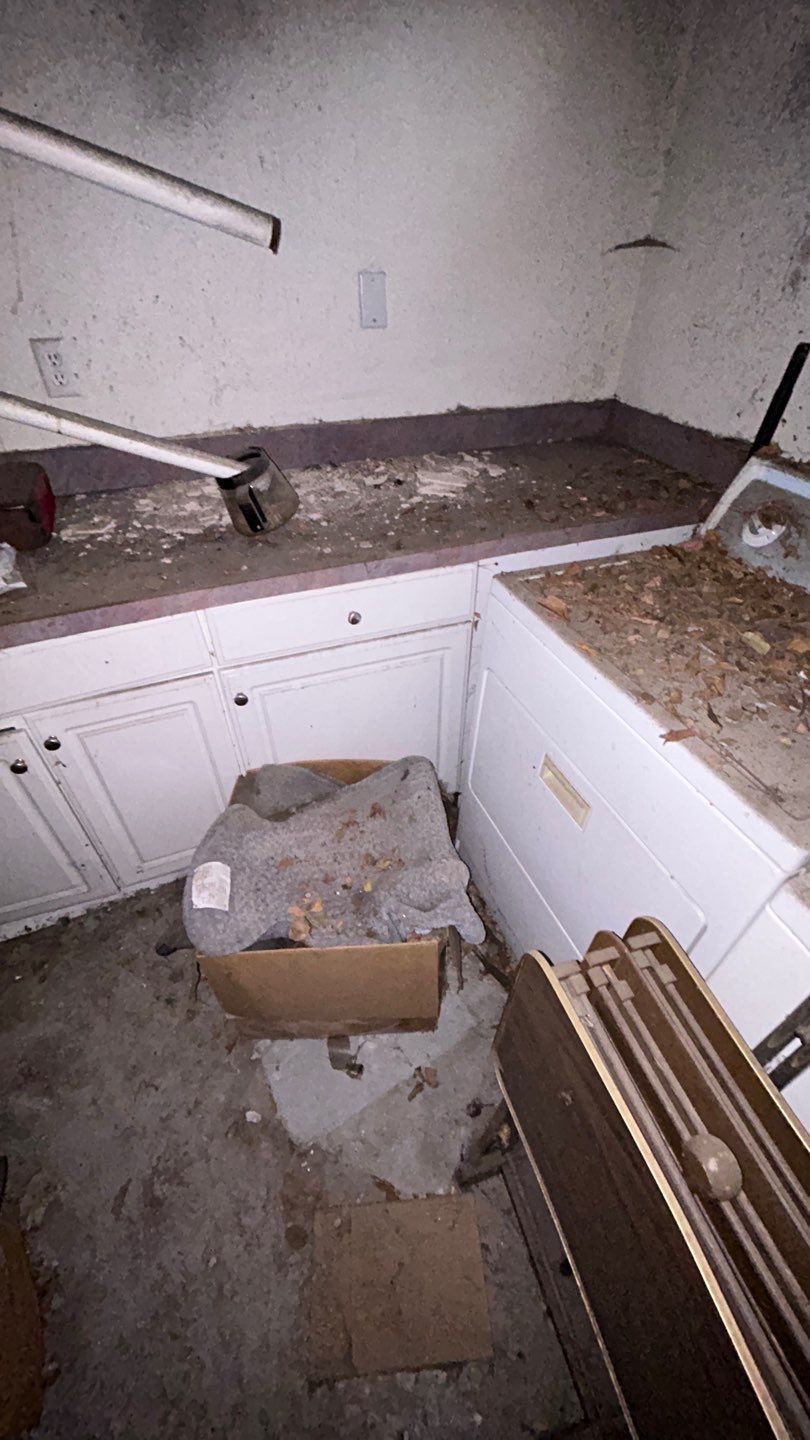 Mold Remediation by Accountable Home Services