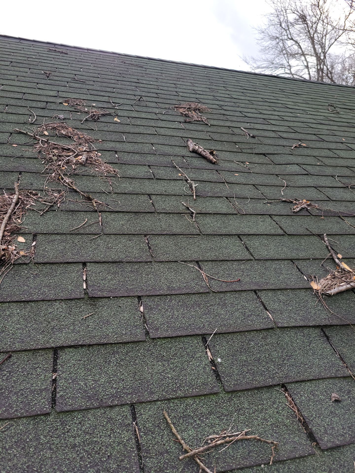 Residential Roofing Installation using Owens Corning Duration Shingle by Molandes Roofing