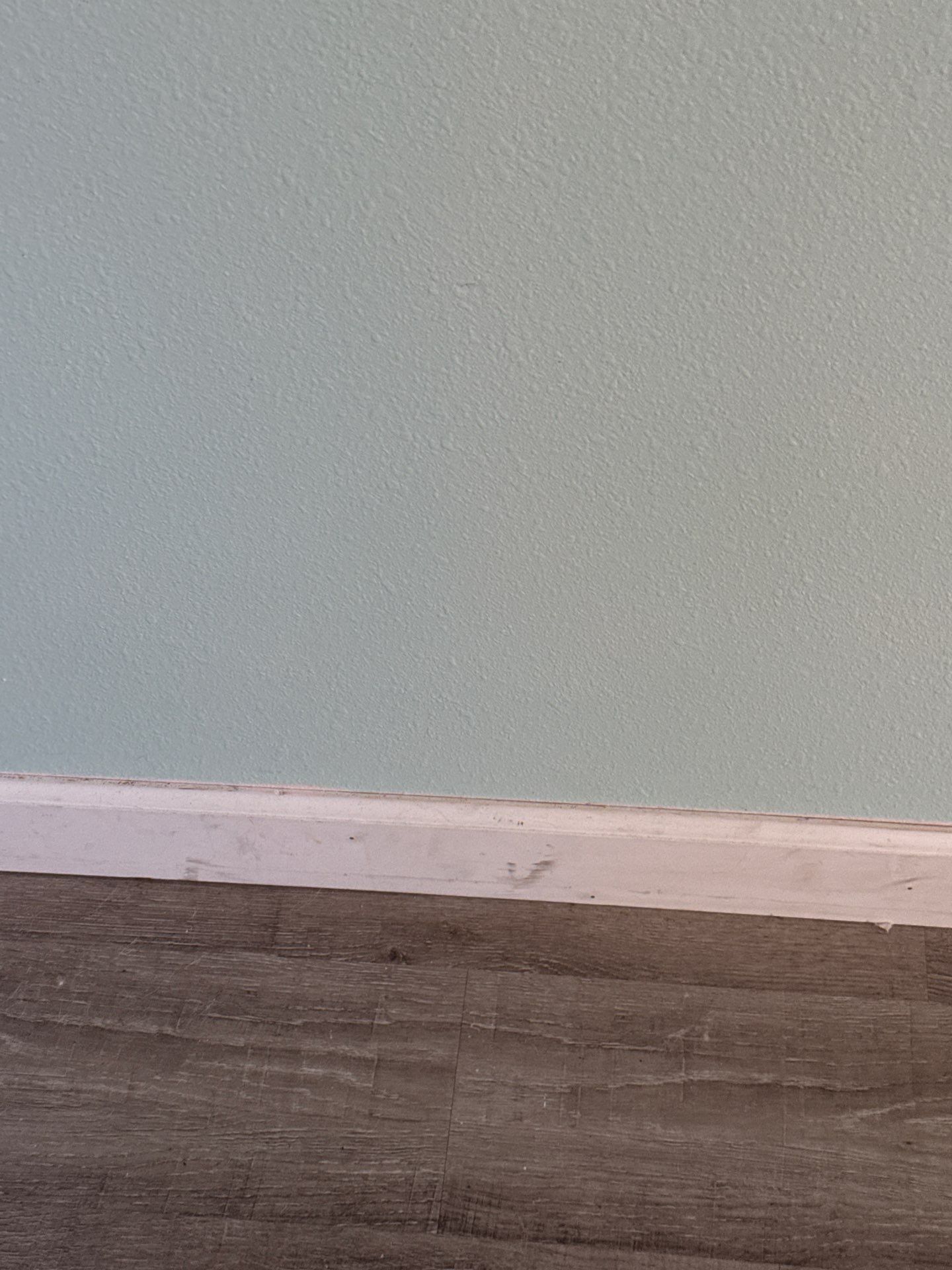 Indoor Air Quality Testing for a real-estate transaction using IR Camera, Moisture Meter, Air Cassatte samples and Tape lifts by Building performance Solutions LLC