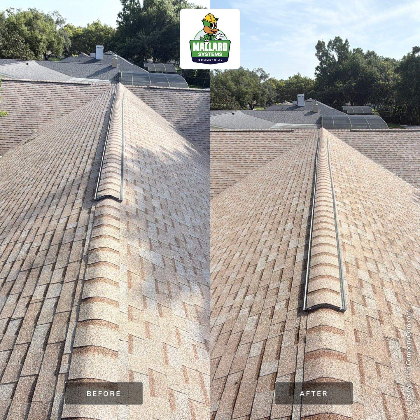 Shingle Roof Cleaning for Home in Winter Park by Mallard Systems