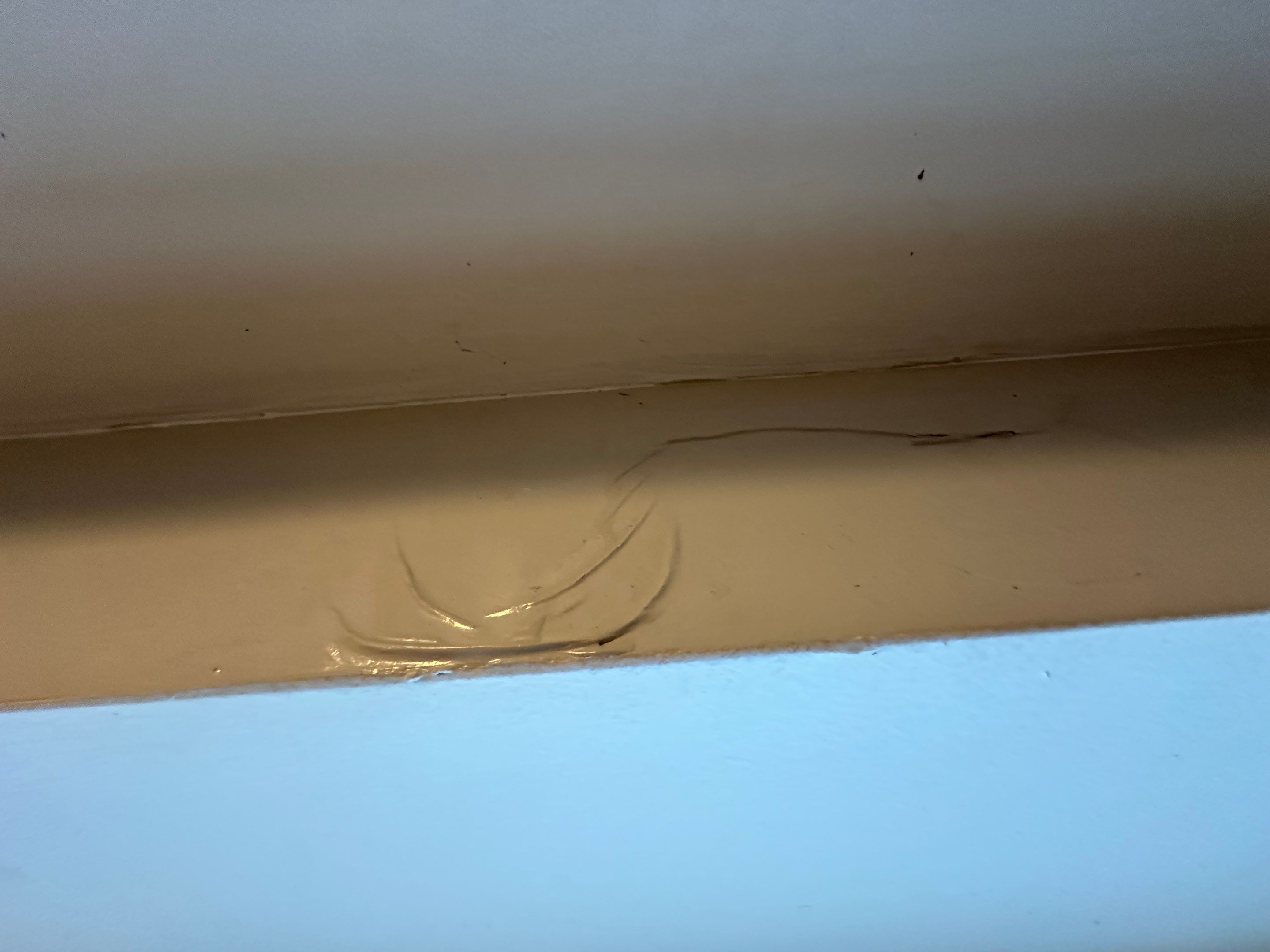 Basement Mold Remediation by Home Guarantee, LLC