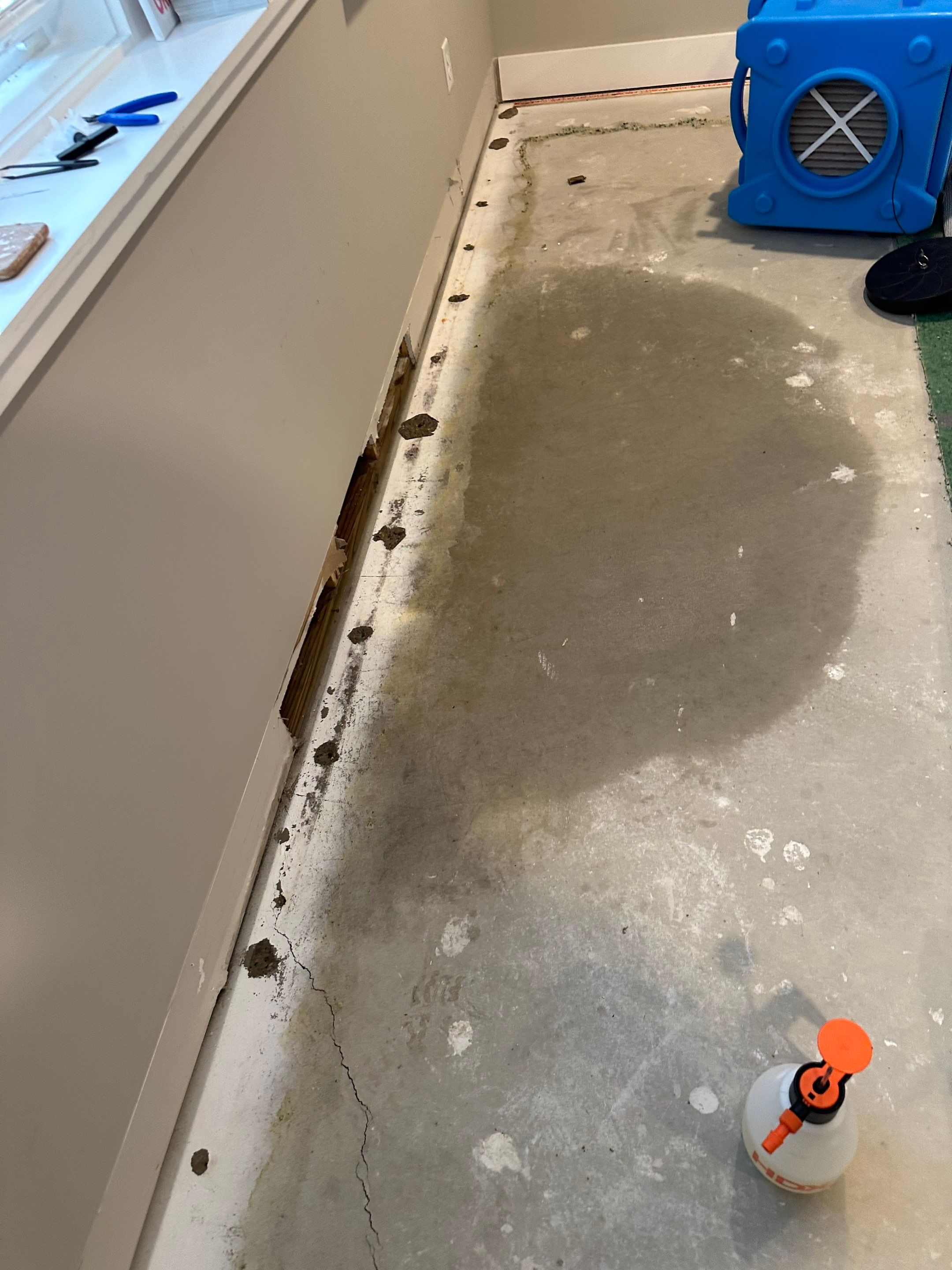 Foundation leak long term damage in new build home by BlueRed Restoration