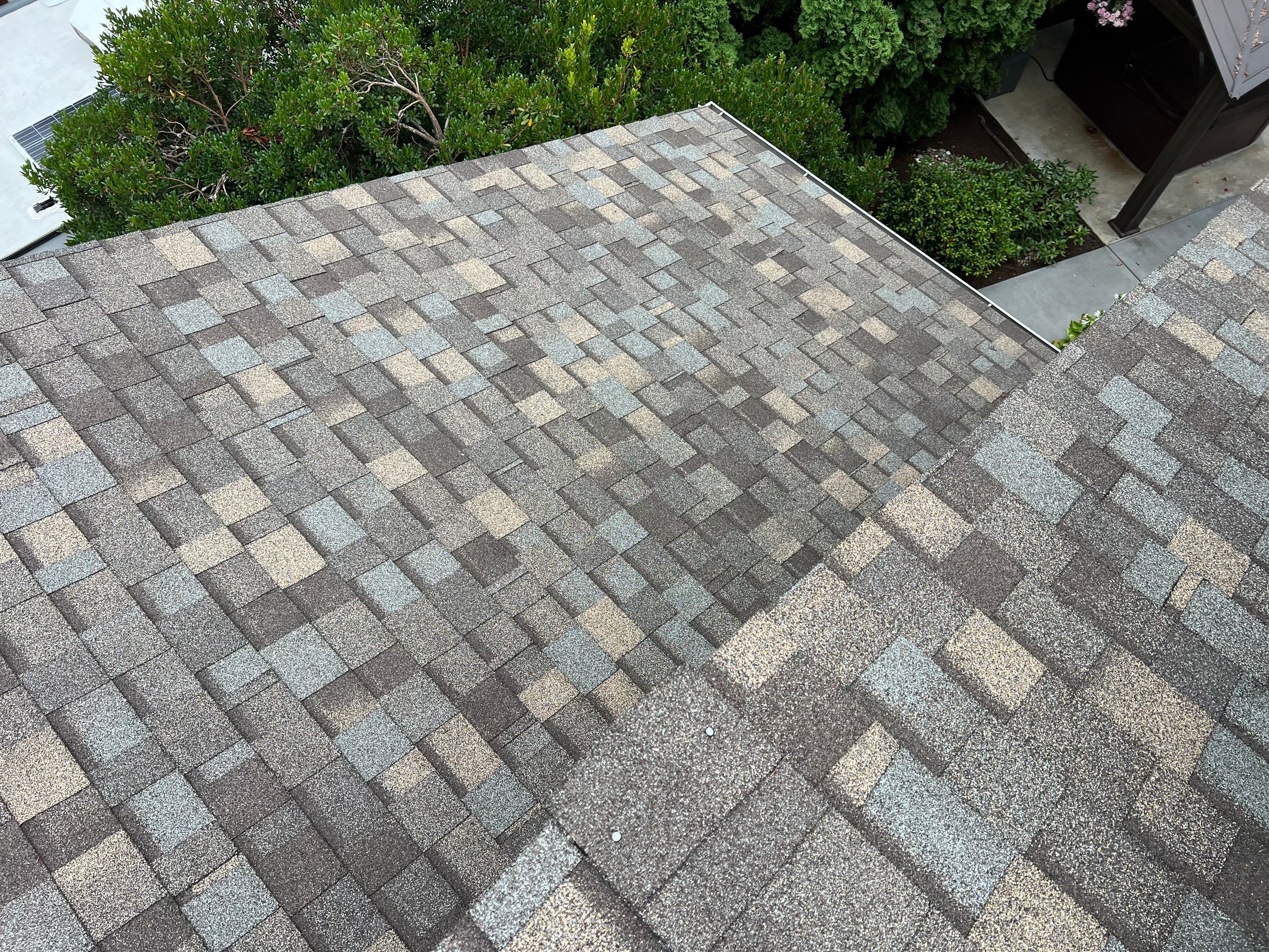 Berkeley Andrew’s by Advanced Contracting Inc
