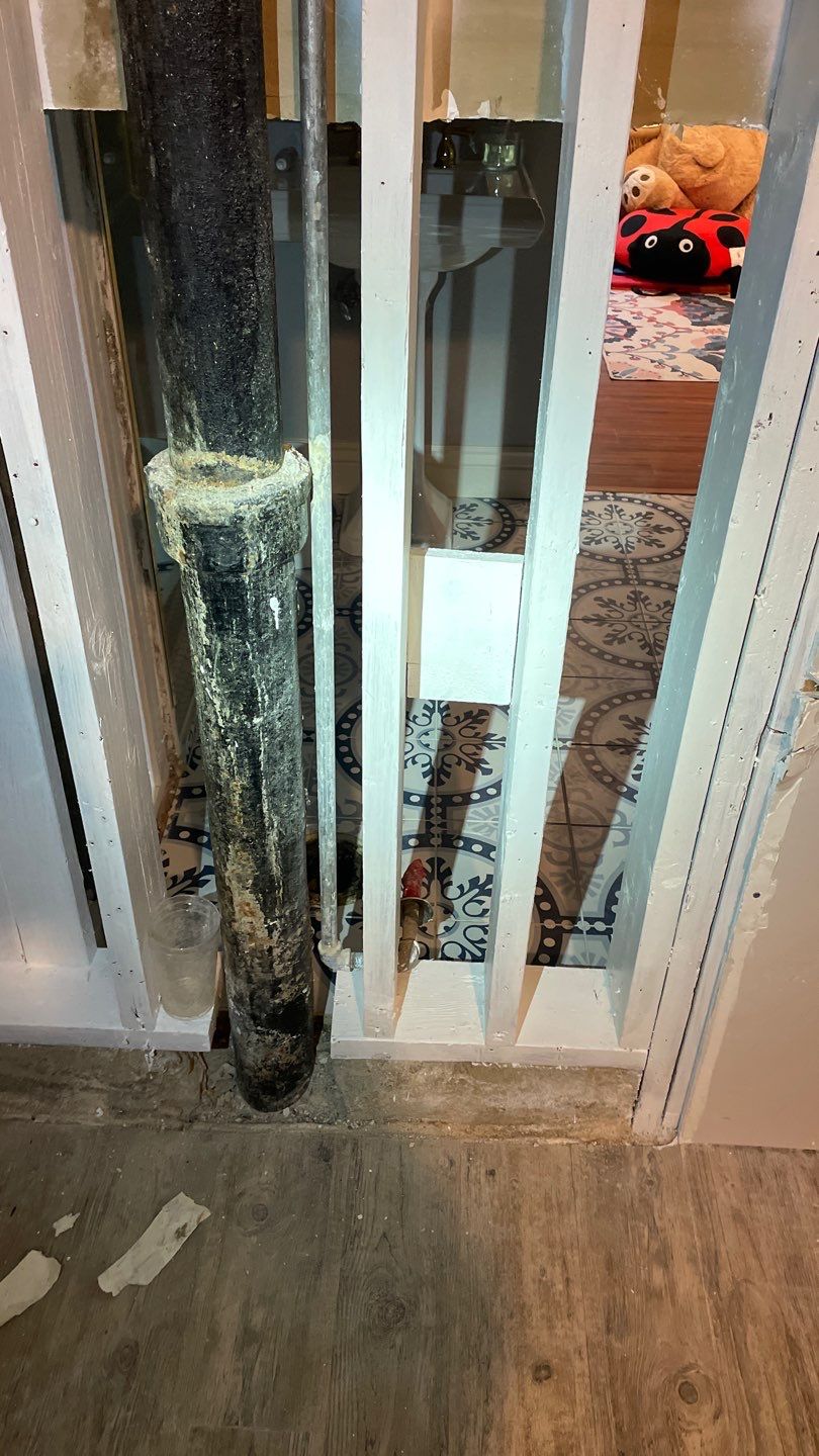 Mold Remediation by Accountable Home Services