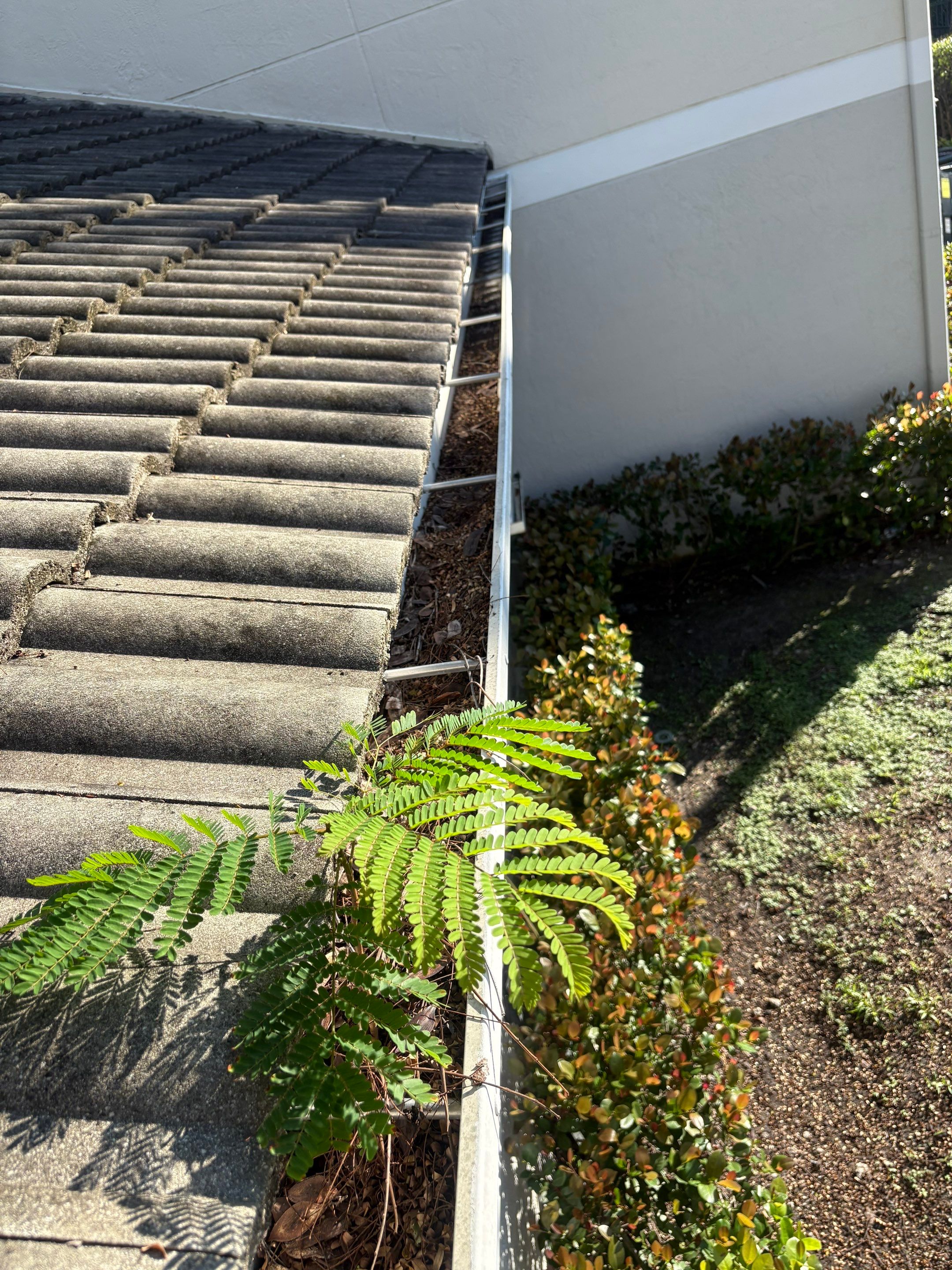 Commercial gutter cleaning Pembroke Pines & Miramar, FL	 before photo with filled gutters