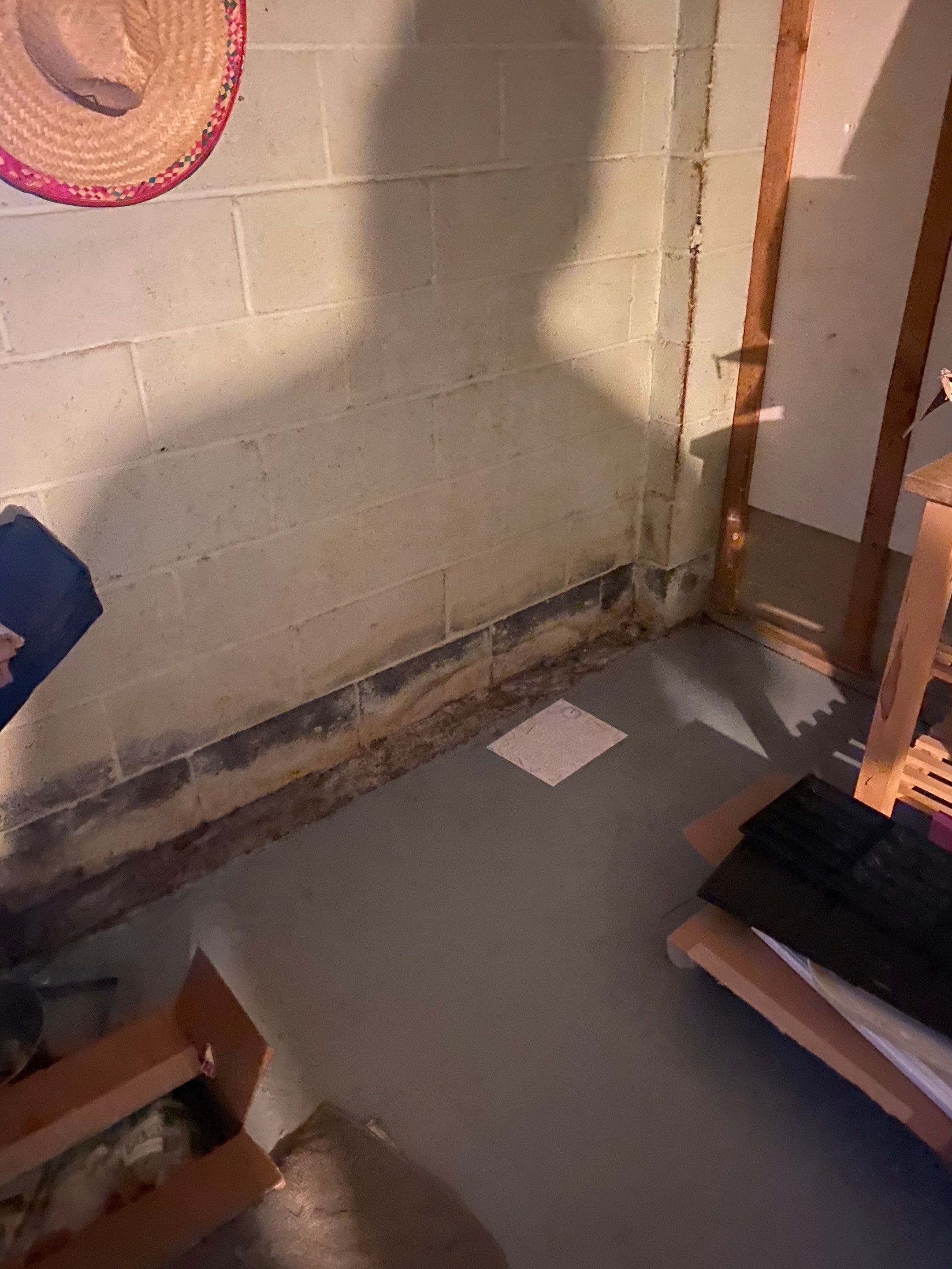 Interior French Drain Job in Cranford, NJ by Pure Service Pro, LLC 