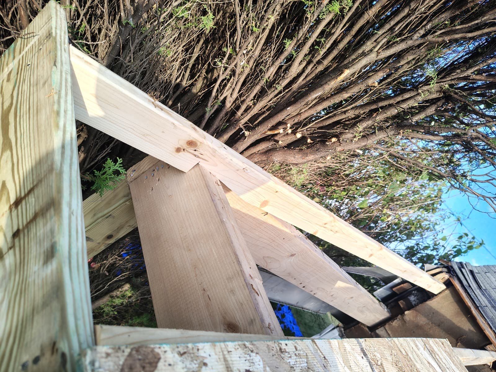 Roof/deck Rehab - Detroit  by Jones Cleaning Services