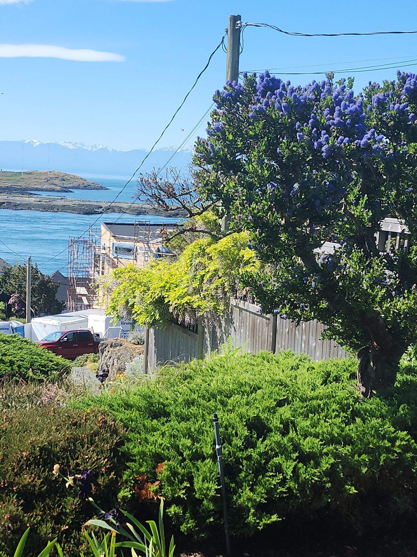 Garden Care - Oak Bay Residence by Habanero Garden and Exterior Care