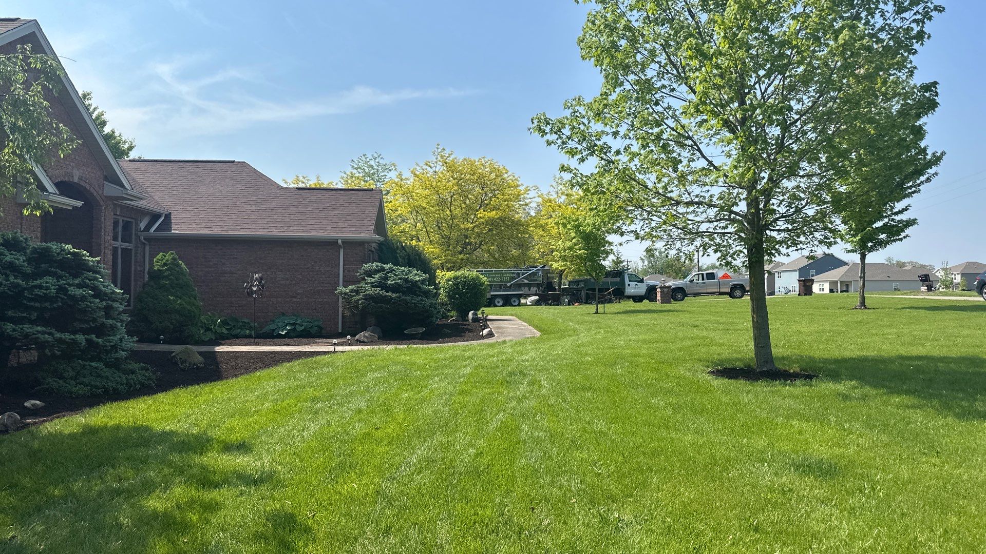 Overgrowth Takeover by Carrs lawn and landscape