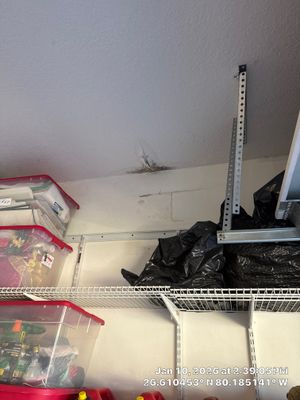 MOLD