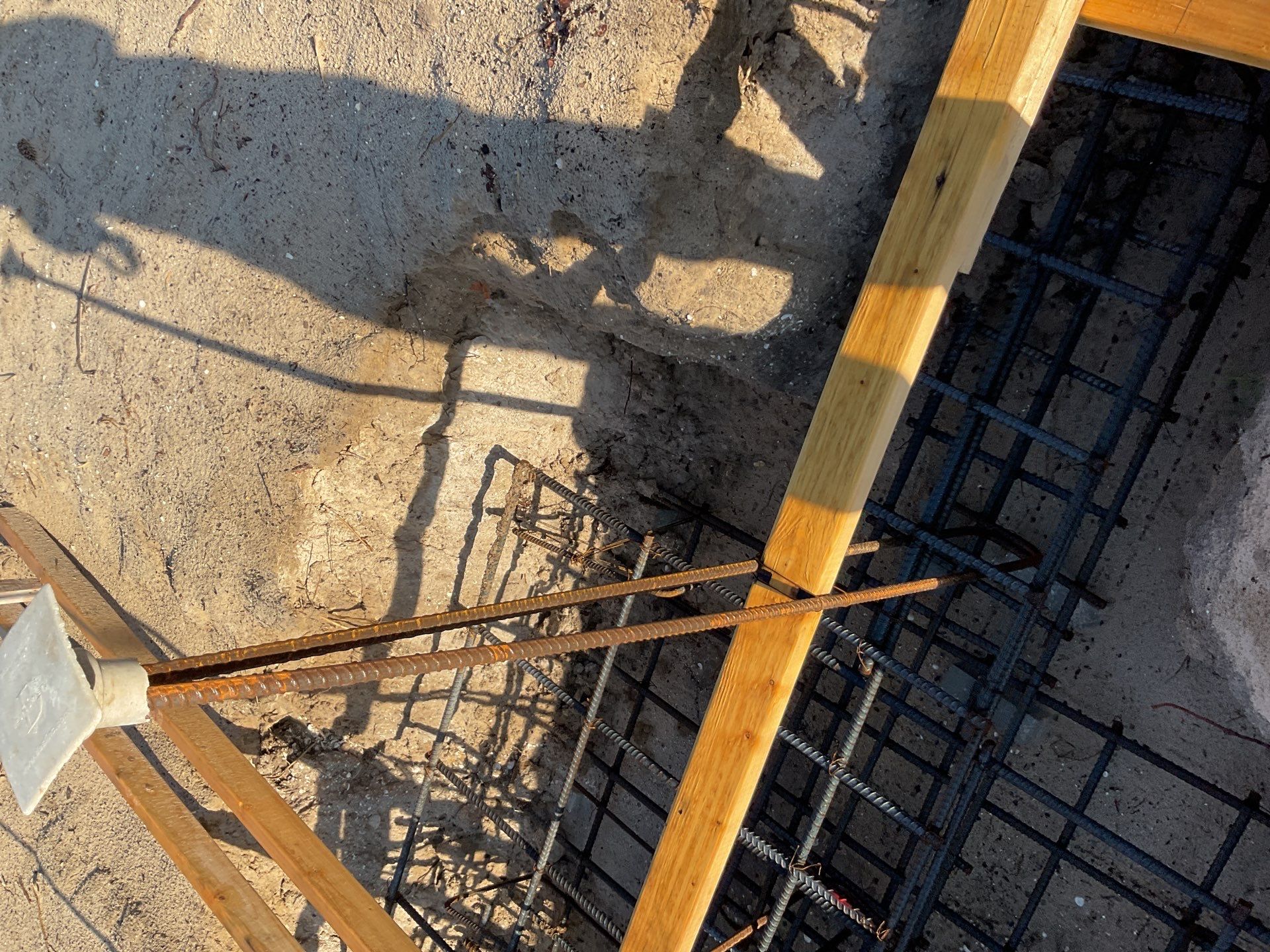 TRACTOR SUPPLY NAPLES by Southern Gulf Construction