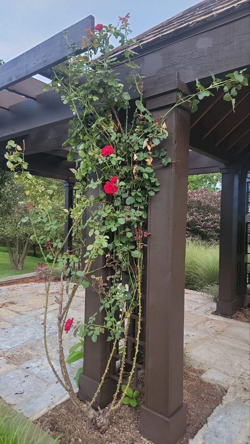 Project in Frederick by Frederick Painting & Supply, Inc.