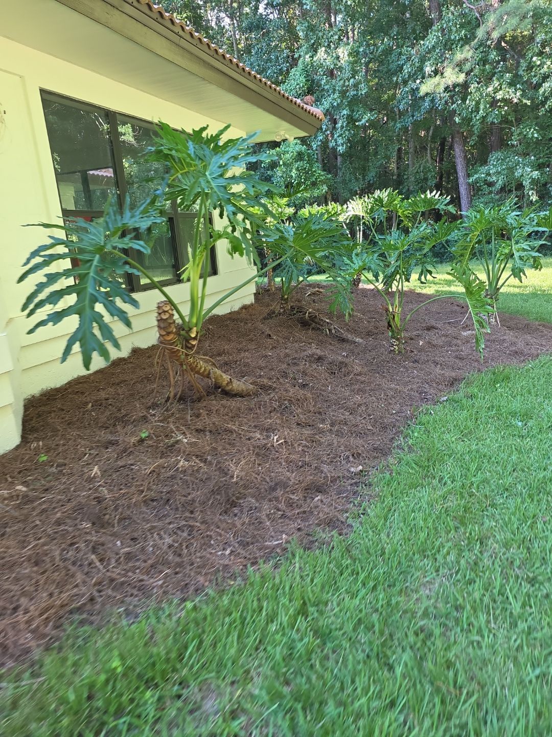Deerwood Resident | Landscape Update by ProGreen Services