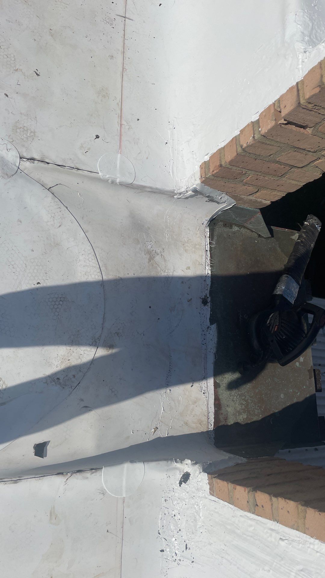 Problems in Paradise  by Bayfront Roofing and Construction
