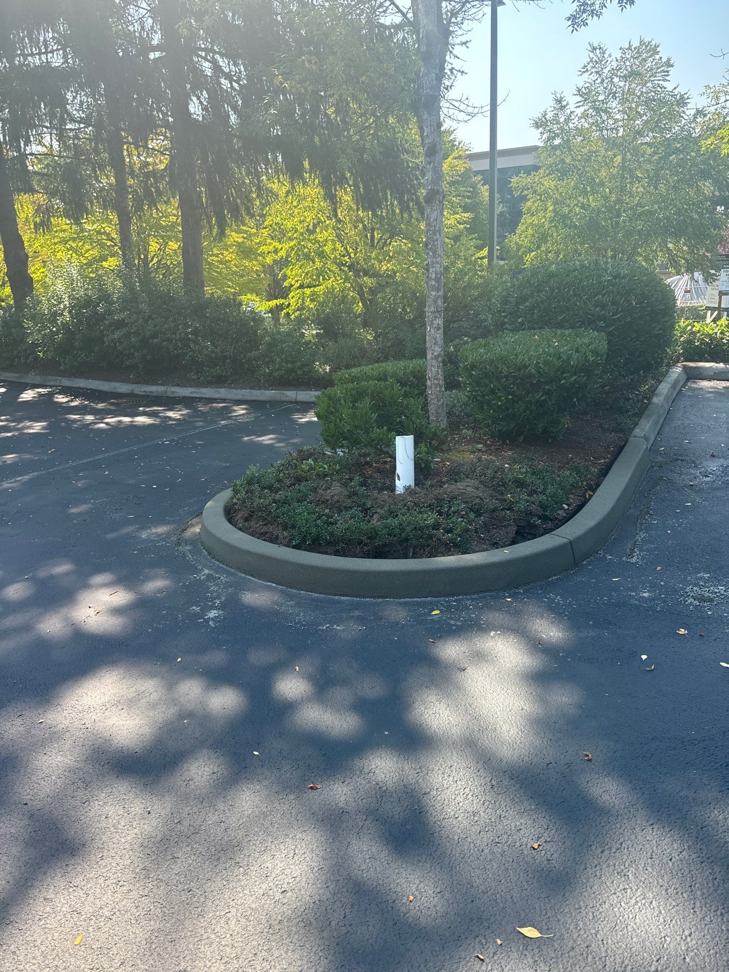 Kidder Matthews | Parking Lot Sealcoating & Striping with Concrete Curb & Patch Repairs  by Jireh Asphalt & Concrete Inc 