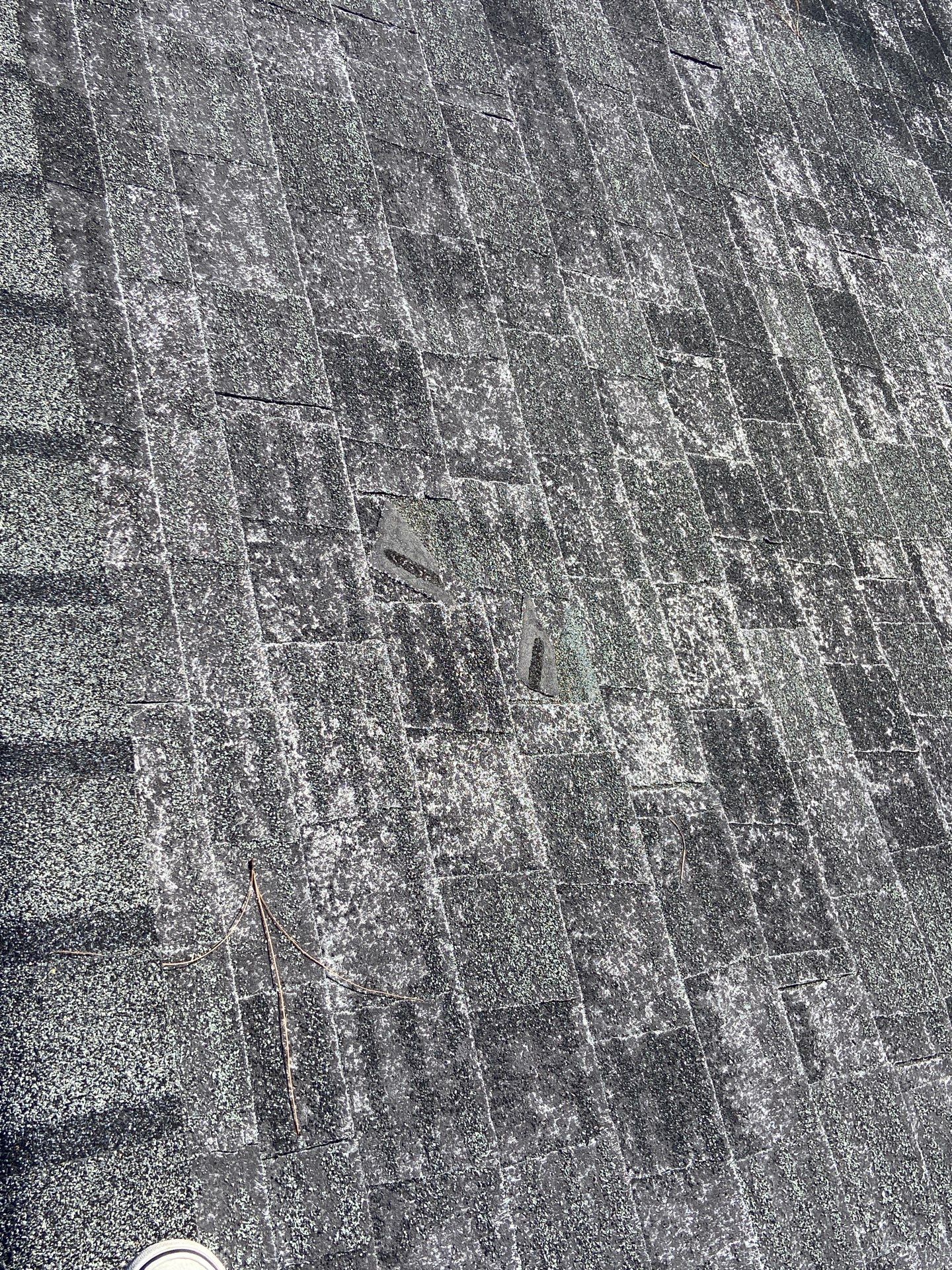Roof Rejuvenation using Roof Maxx Treatment by Roof Maxx of Folsom