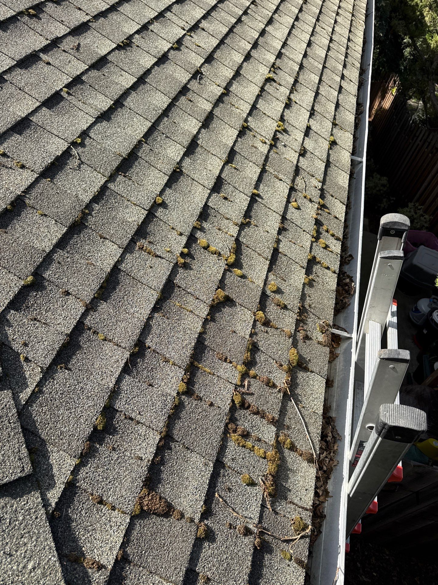 Soft Wash by Top Elevation