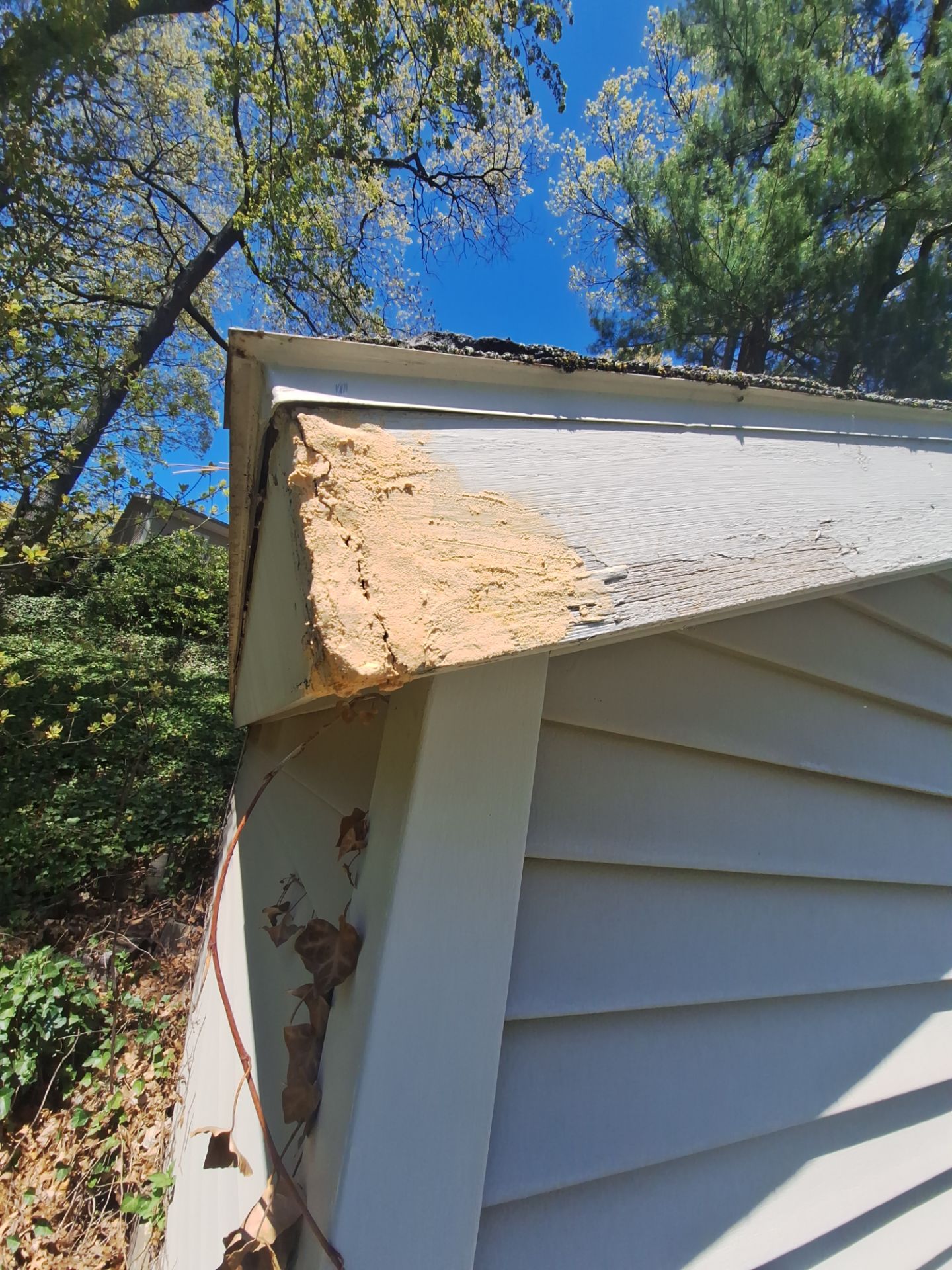 Complete Exterior Repaint | Spring Lake, MI by Gordon Painting