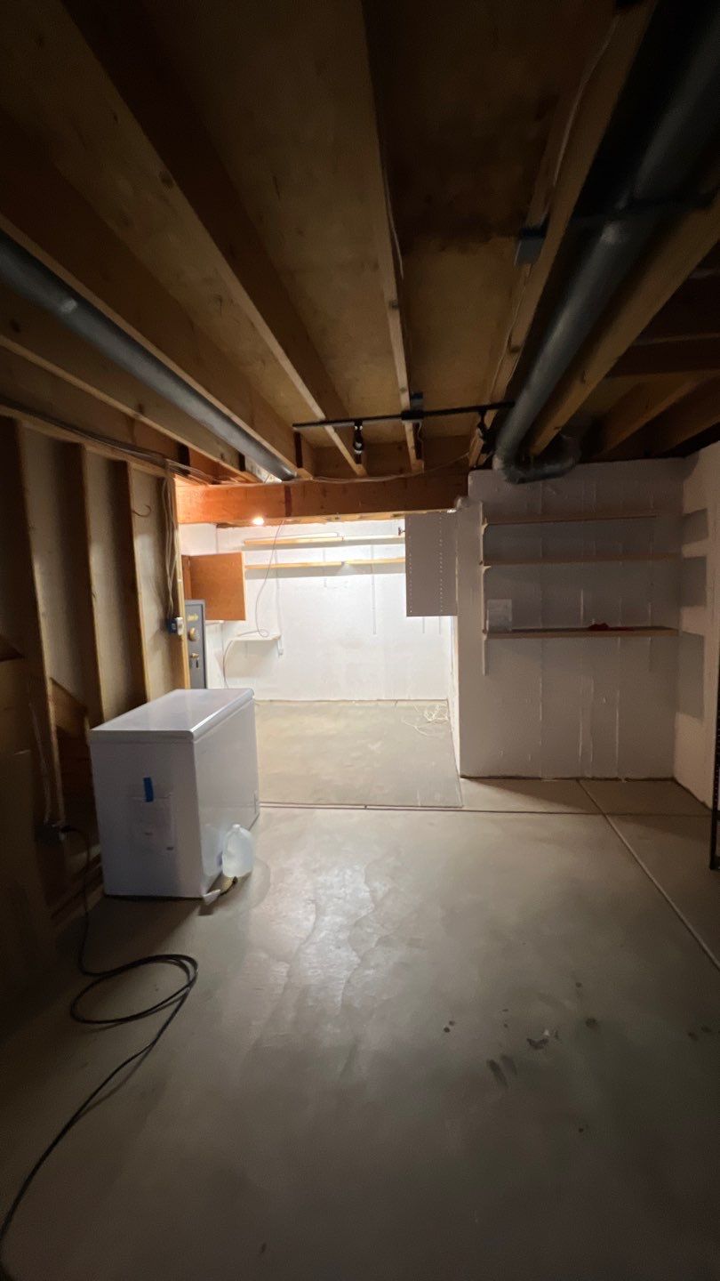 Mold Damage by Accountable Home Services