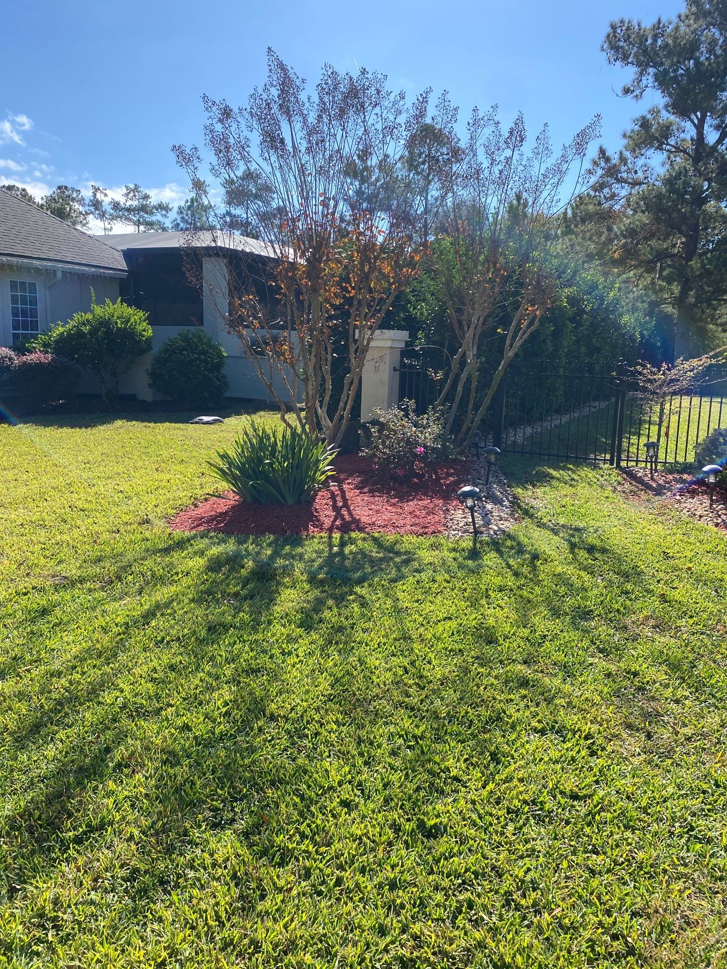 Deerwood Resident | Palm Trimming & Ground Cover by ProGreen Services
