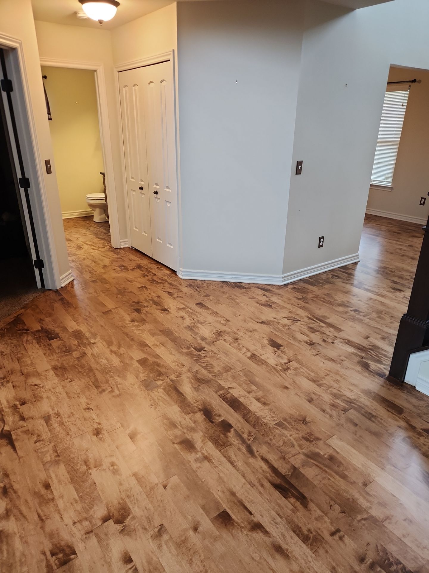 Stained Maple  by Ann Arbor Hardwoods 