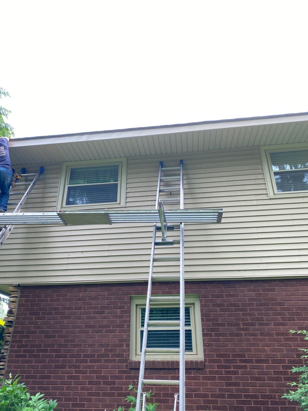Barb Daymut by Silver Leaf Contracting 