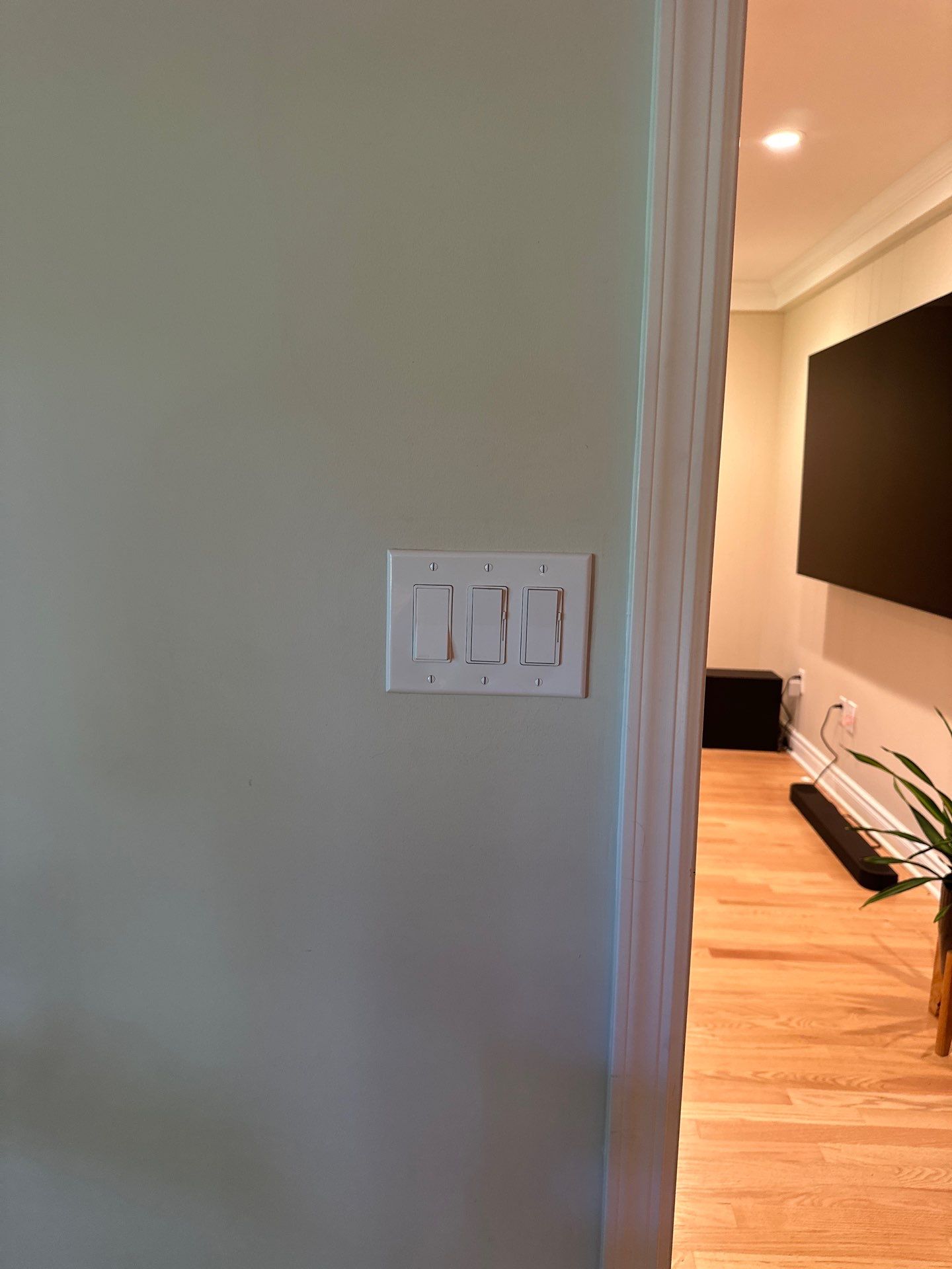 TV Mount & Hidden Wiring / Recessed Outlet Installation by Spartan Home Pros