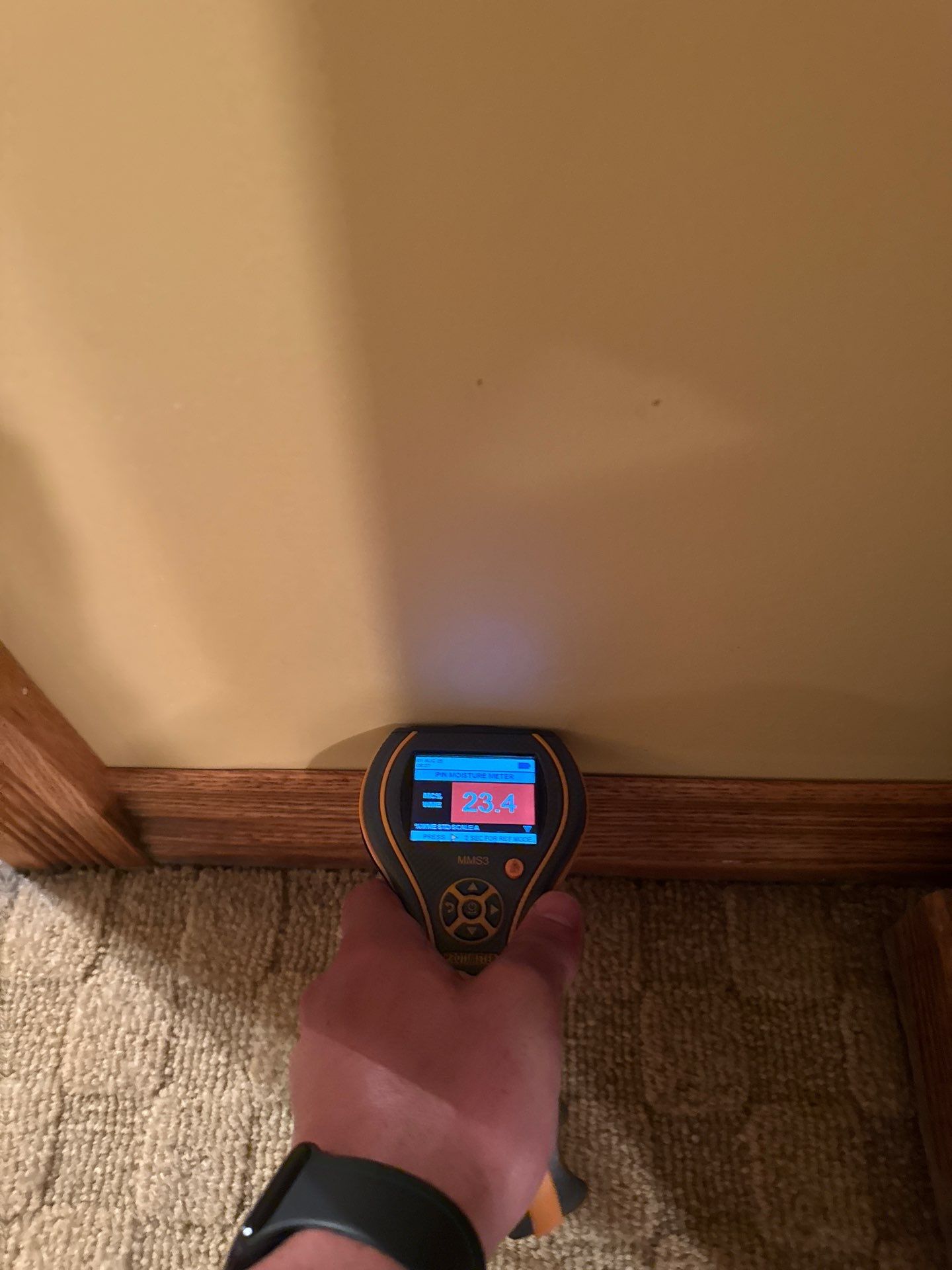 Project in Novi by EzDry Water Mitigation & Property Restoration