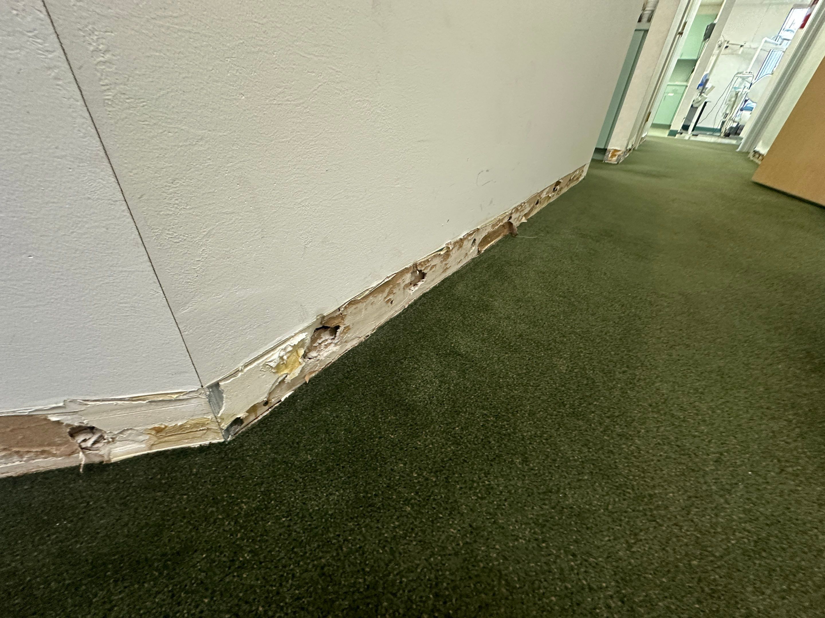 Water Damage Claim in Hollywood by FLAPA & KeyStone