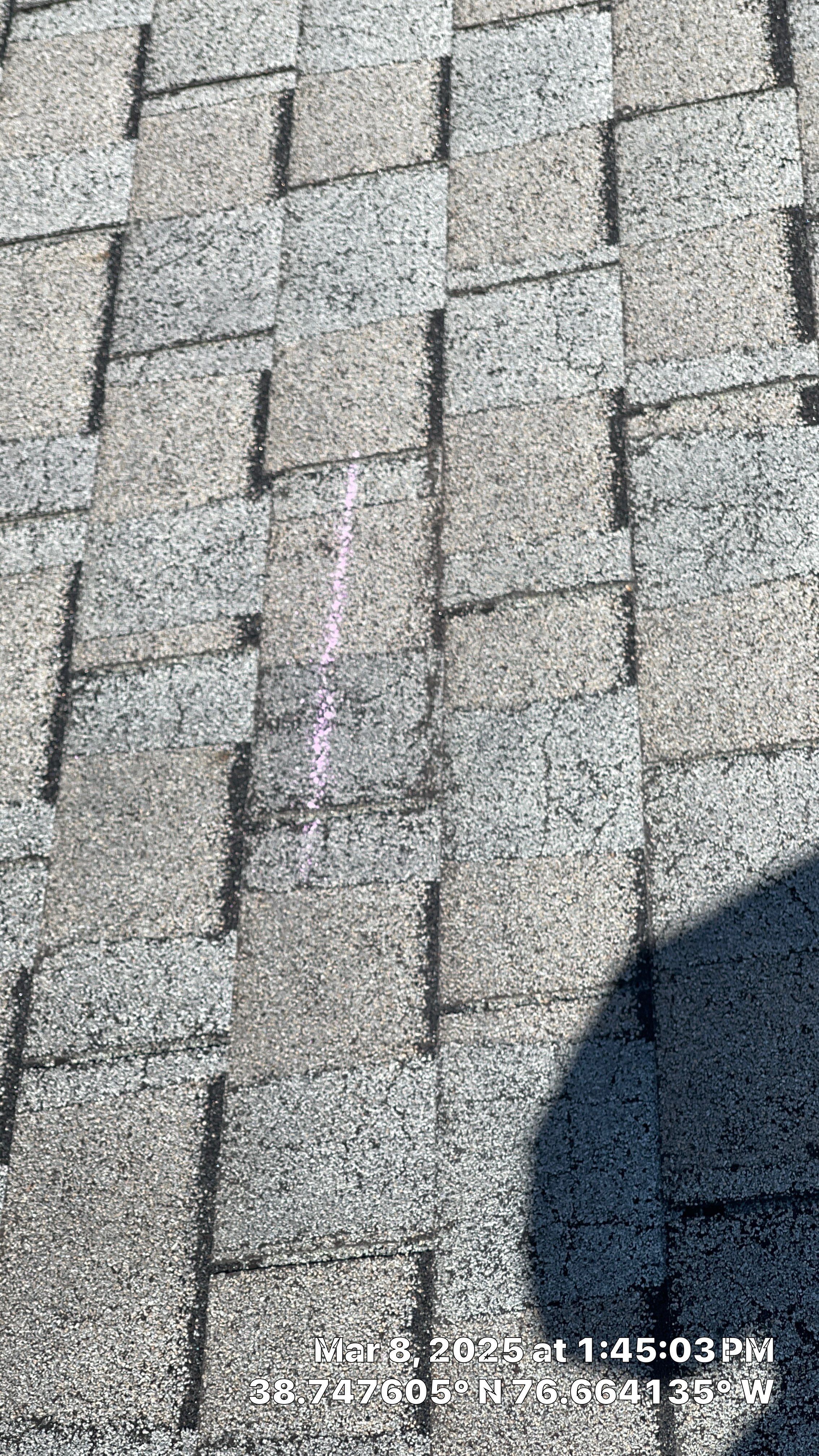 Residential Roofing Installation using IKO Dynasty Architectural Shingles by Window Depot of Annapolis