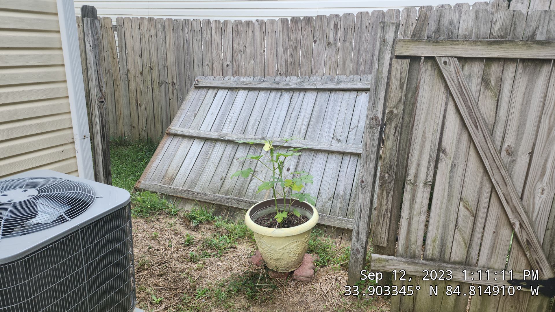 Dogear Wood Privacy Fence by Titans of Timber Fence & Stain
