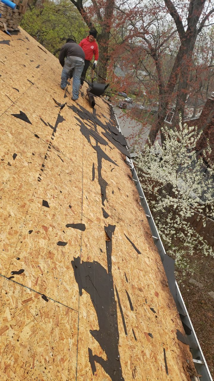 Arlington: CertainTeed Landmark Pro Designer Shingles in Max Def Georgetown Gray by RM Banning, Inc.