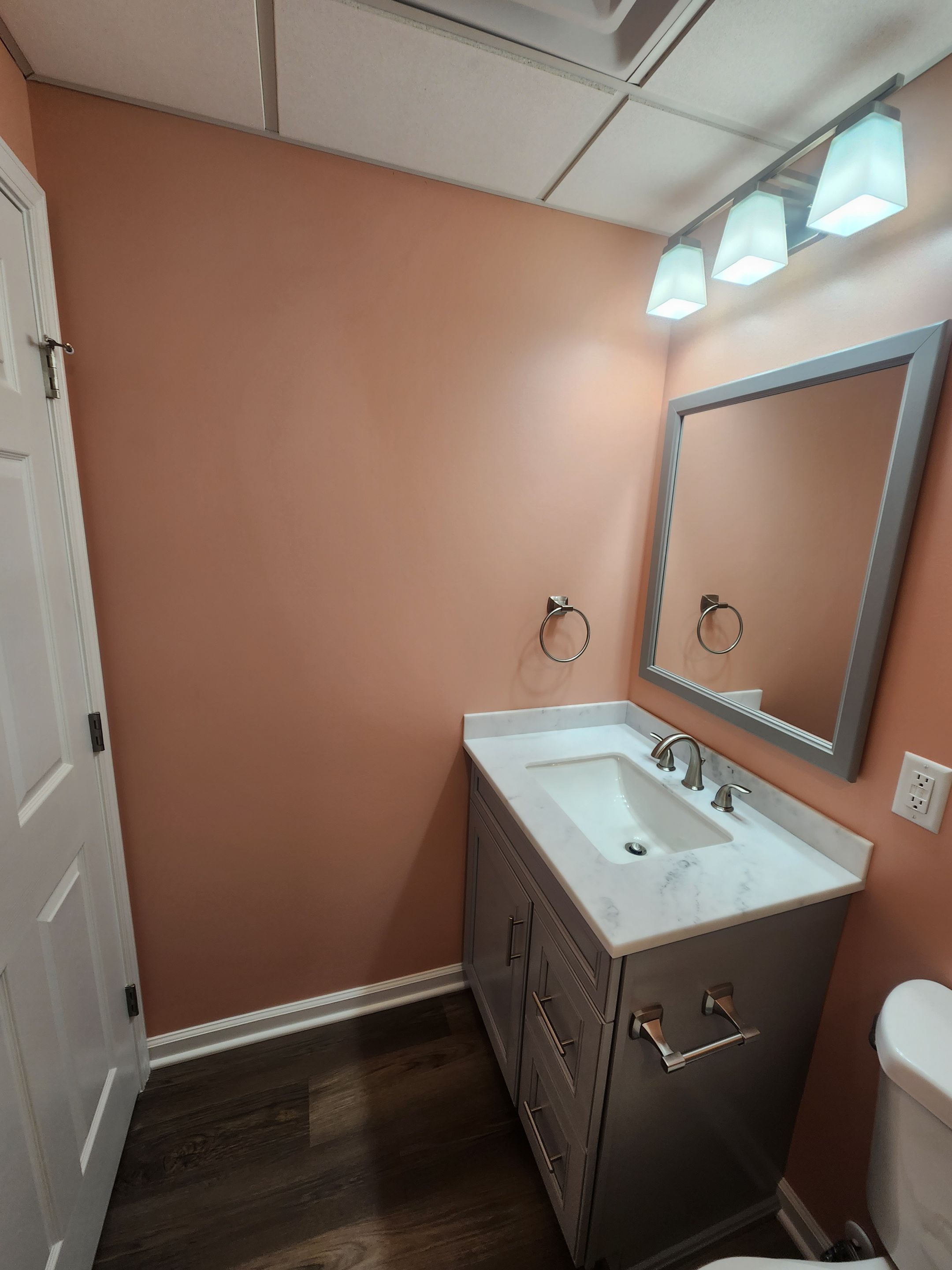 Basement and Bathroom Remodel by Ivy Lea Construction