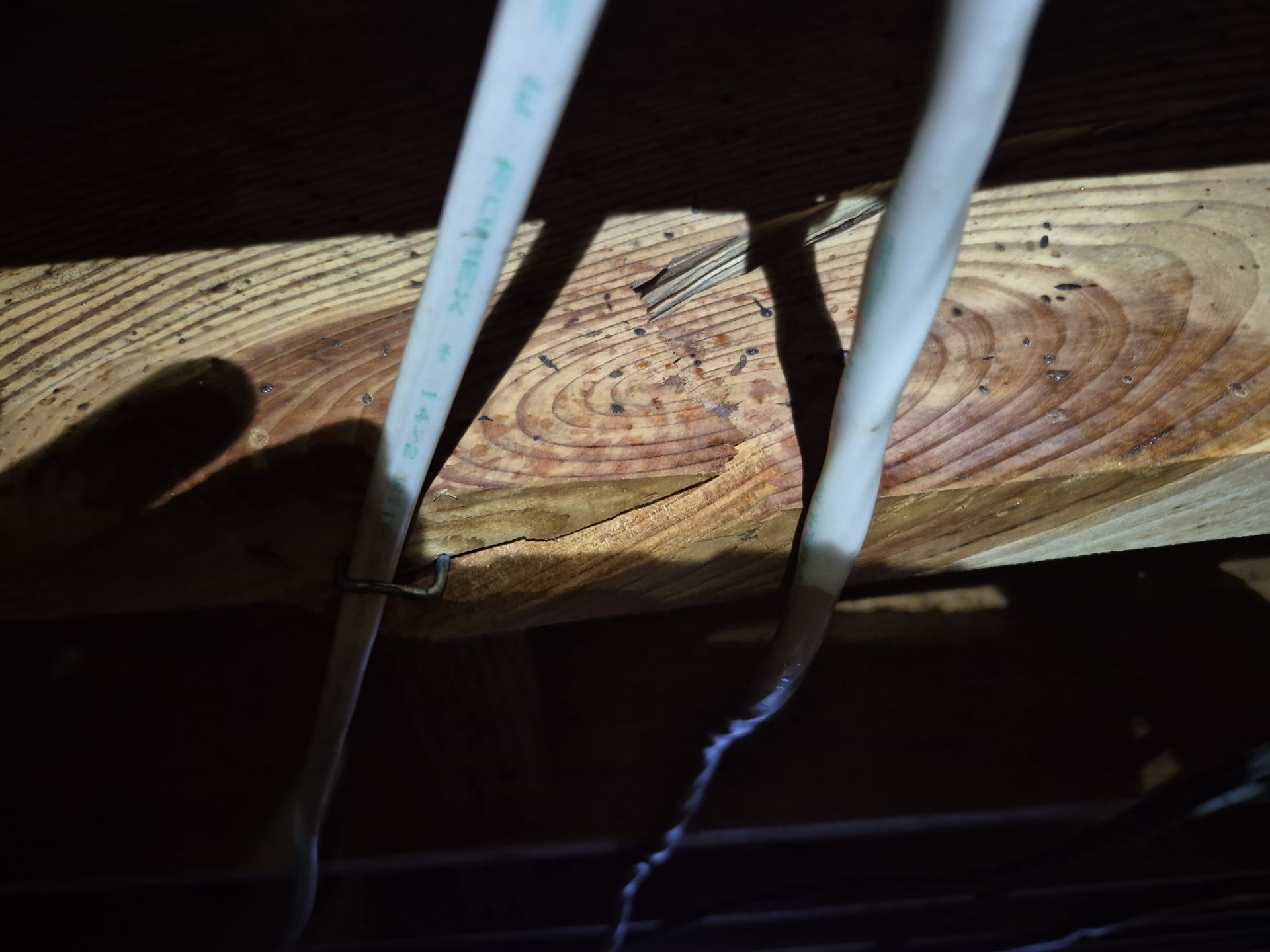 Project in Norfolk by Patriot Crawl Space Repairs